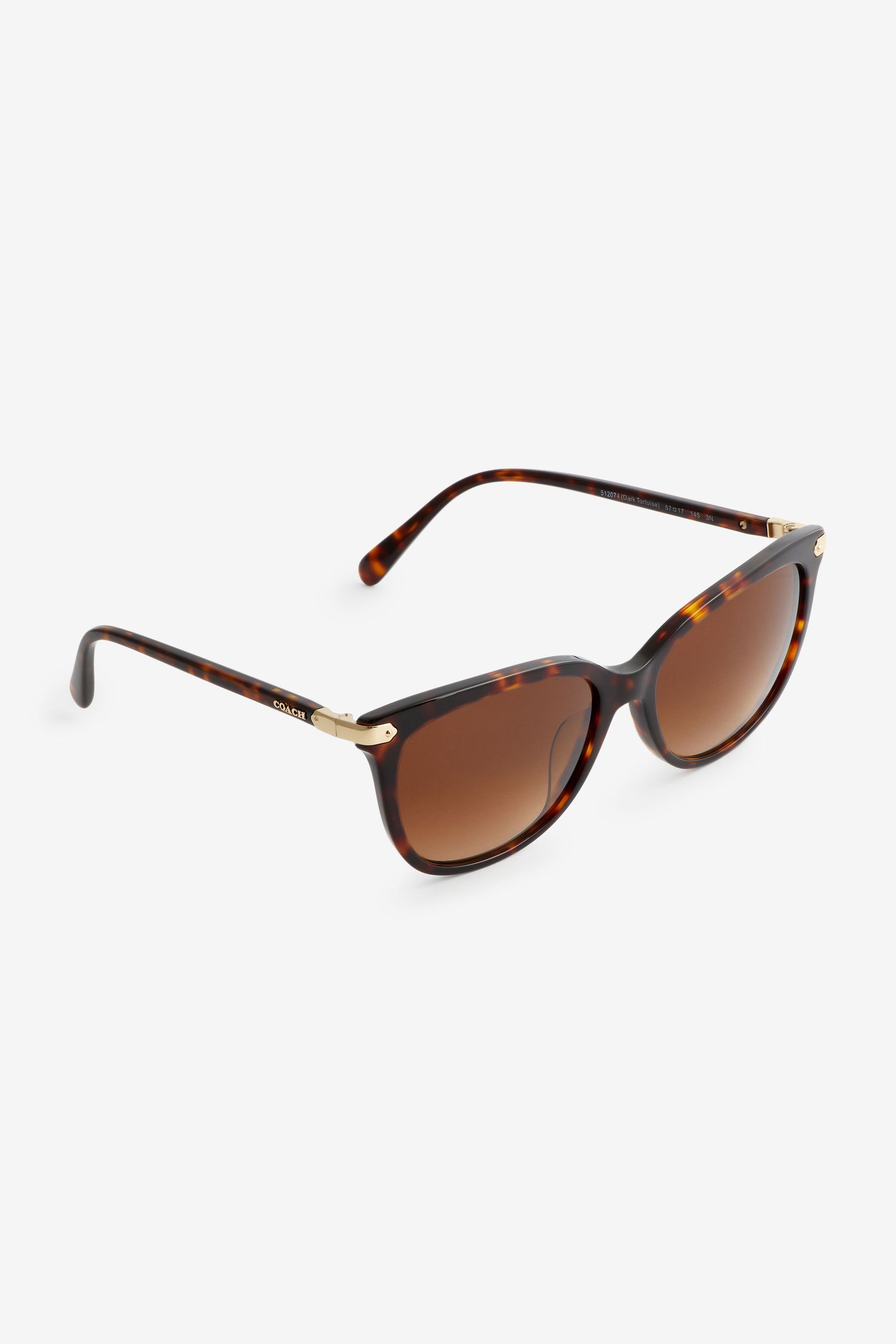 Buy COACH HC8378U Brown Sunglasses from the Next UK online shop