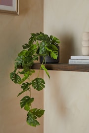 Green Artificial Trailing Monstera Plant - Image 1 of 3