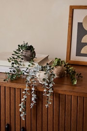 Set of 3 Green Artificial Trailing Plants - Image 1 of 4
