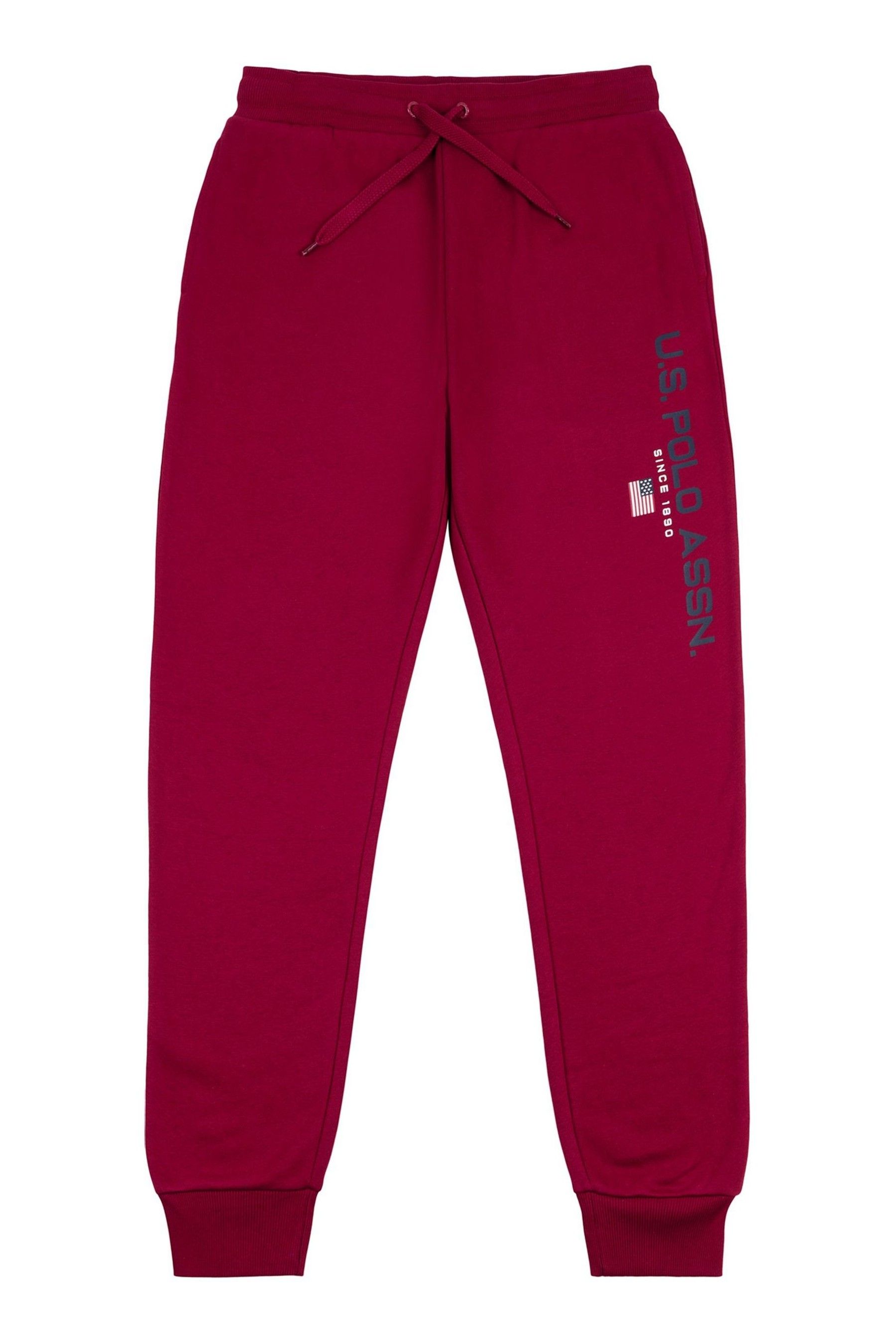 Buy U.S. Polo Assn. USPA Sport Joggers from Next Germany