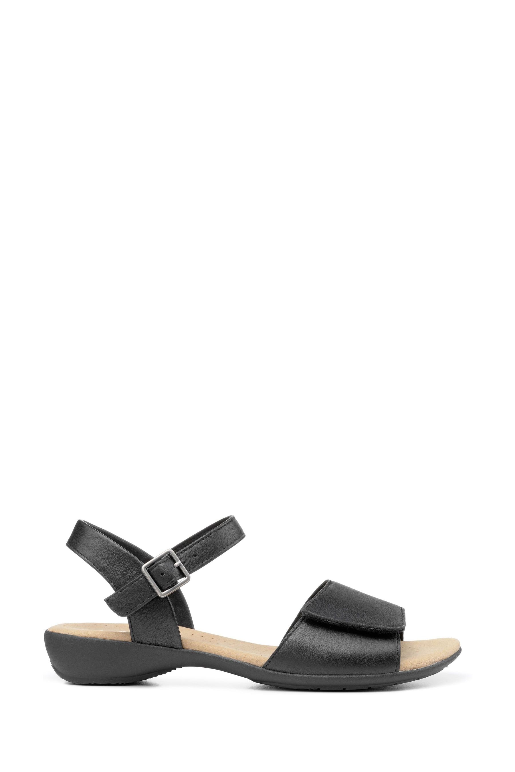 Buy Hotter Black Safari Smart Low Wedge Sandals from Next Luxembourg