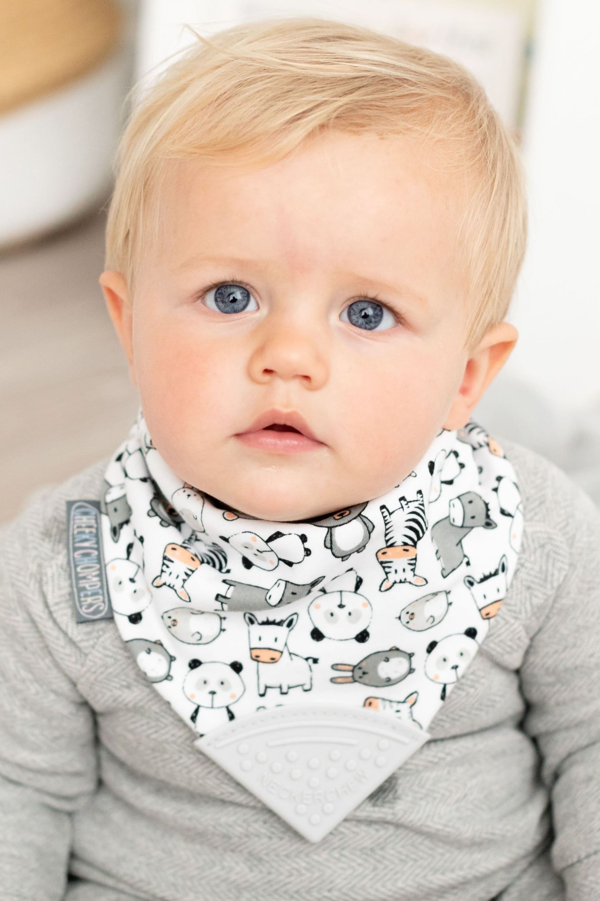 Cheeky Chompers Teething Dribble Baby Bibs 3 Pack - Image 2 of 7