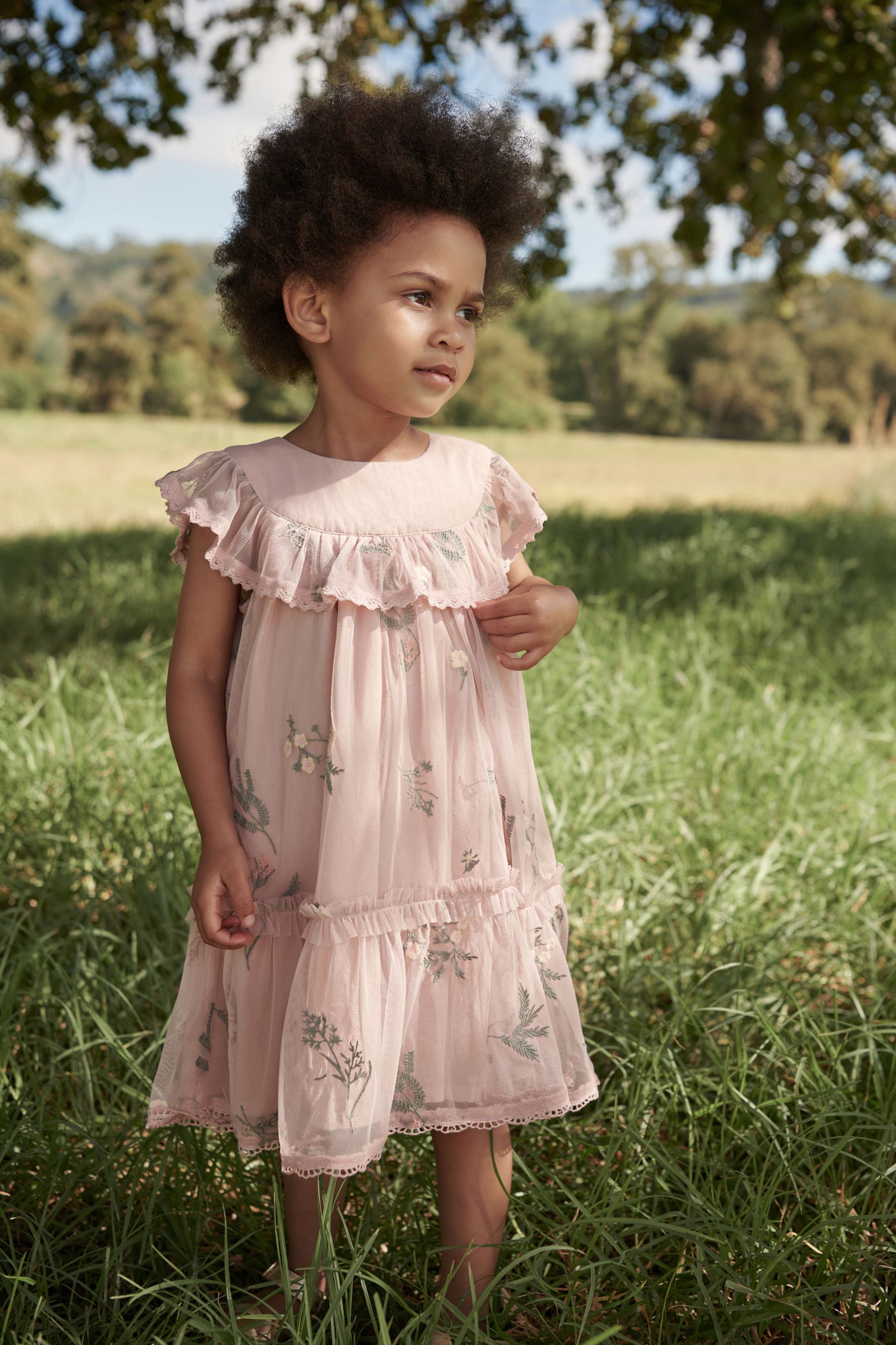 Laura ashley party wear sales
