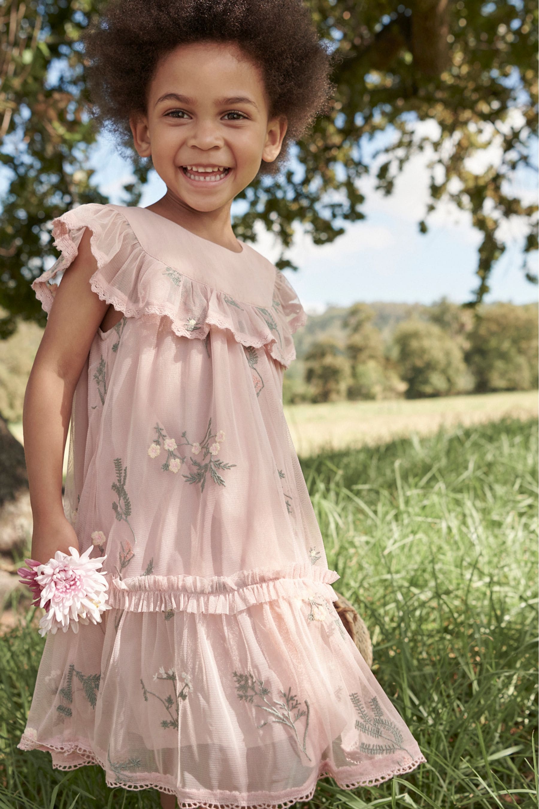 Buy Laura Ashley Pink Embroidered Mesh Party Dress from Next Luxembourg