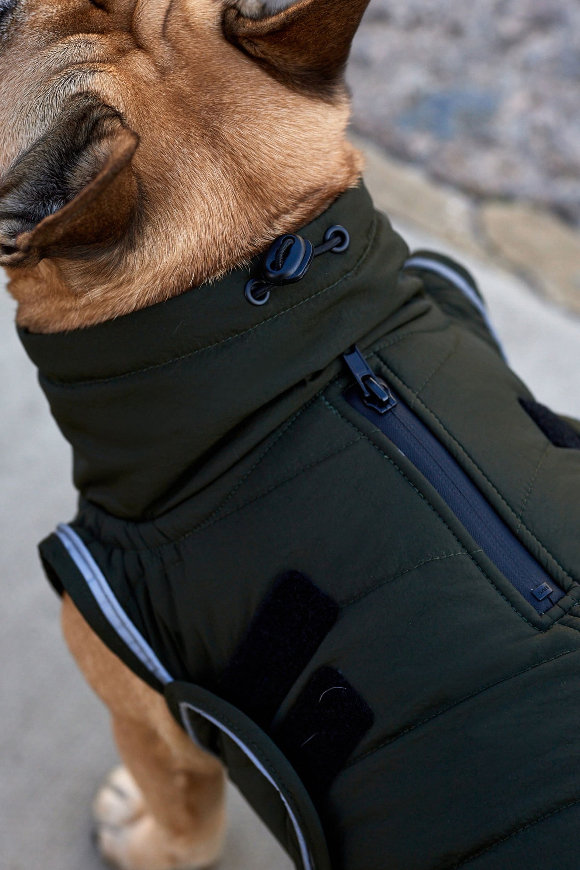 Khaki Green Showerproof Quilted Dog Coat with Reflective Trim - Image 4 of 7