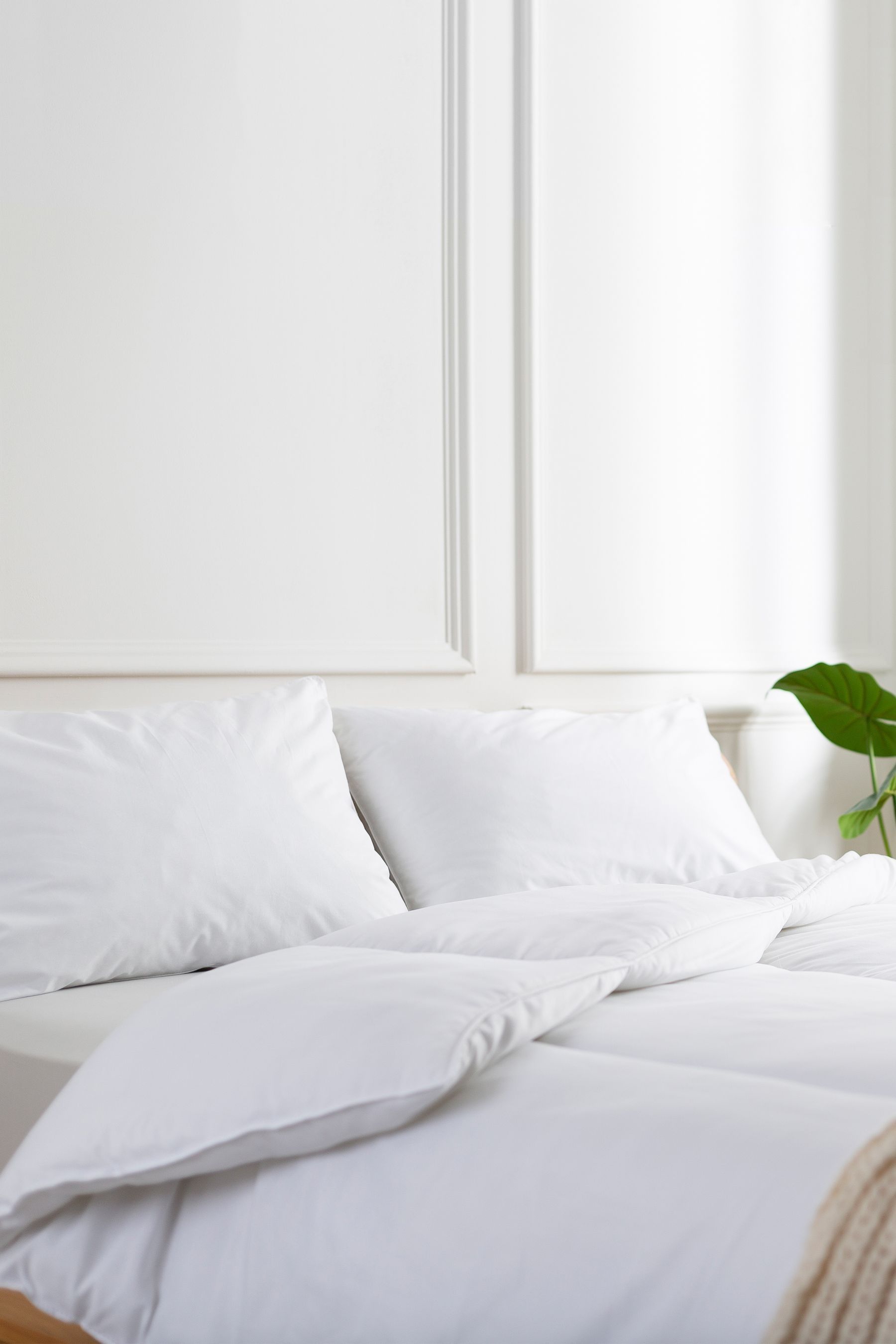 Slumberdown feels like down discount