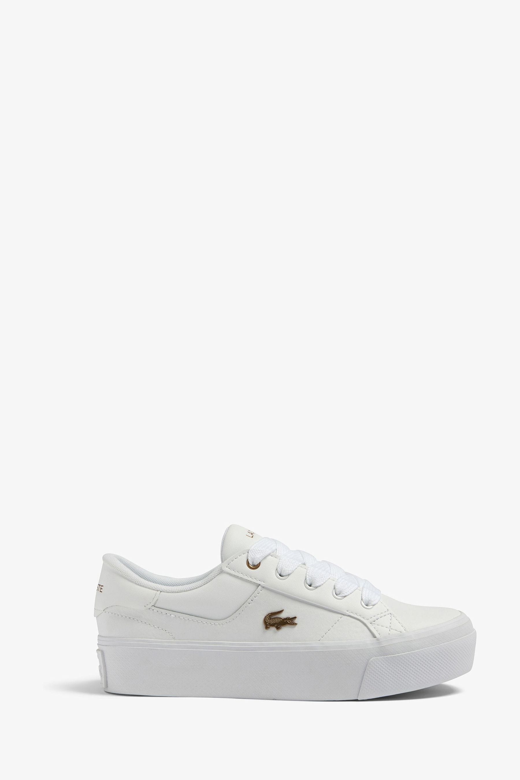 Ziane lacoste shoes new arrivals