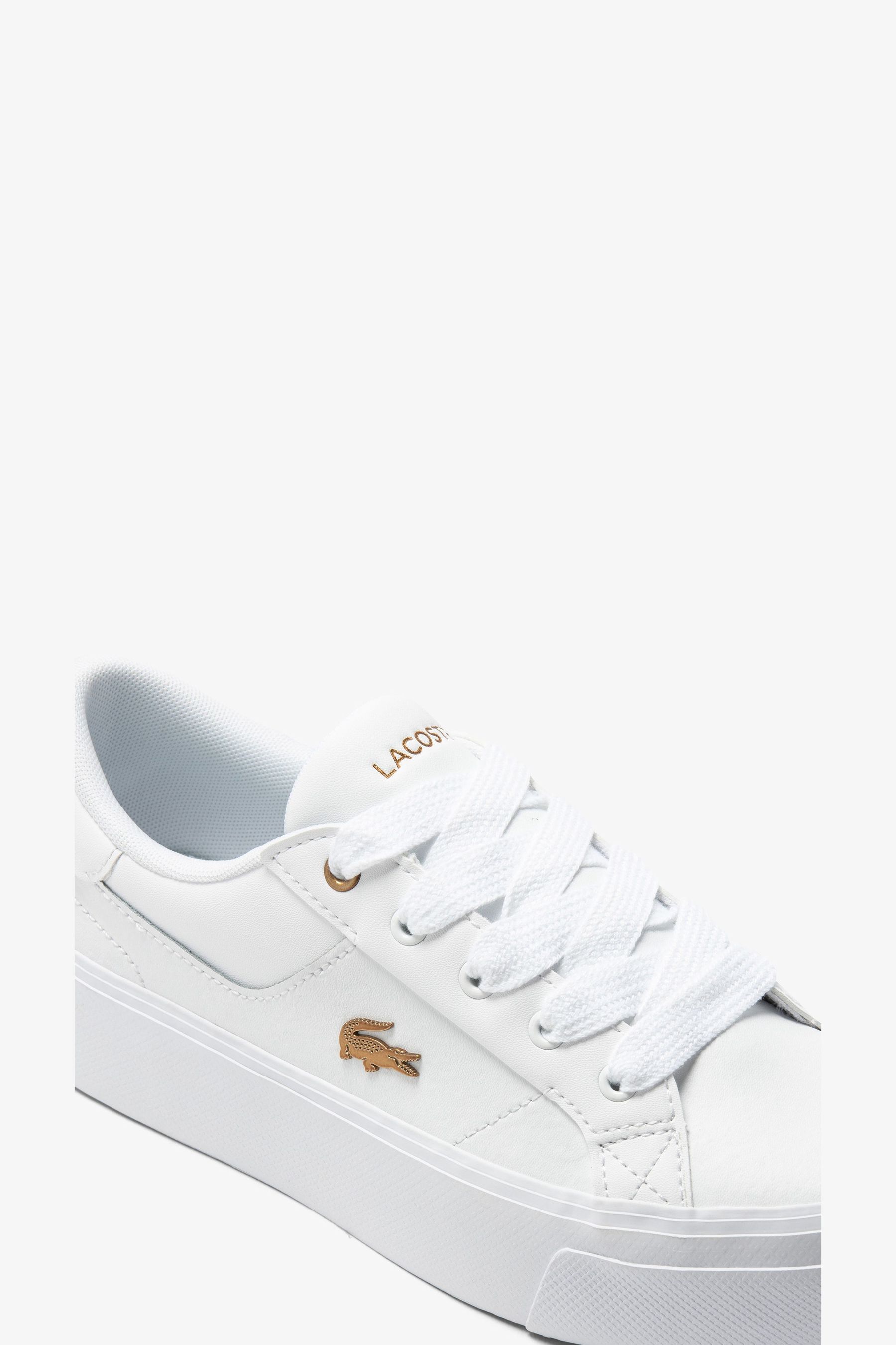 Ziane lacoste shoes top