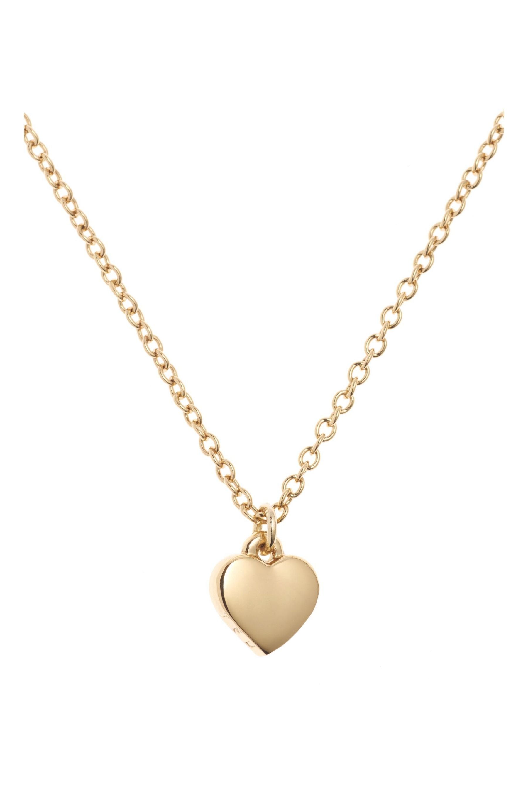 Buy Ted Baker Gold Tone HARA Tiny Heart Pendant Necklace from Next Canada