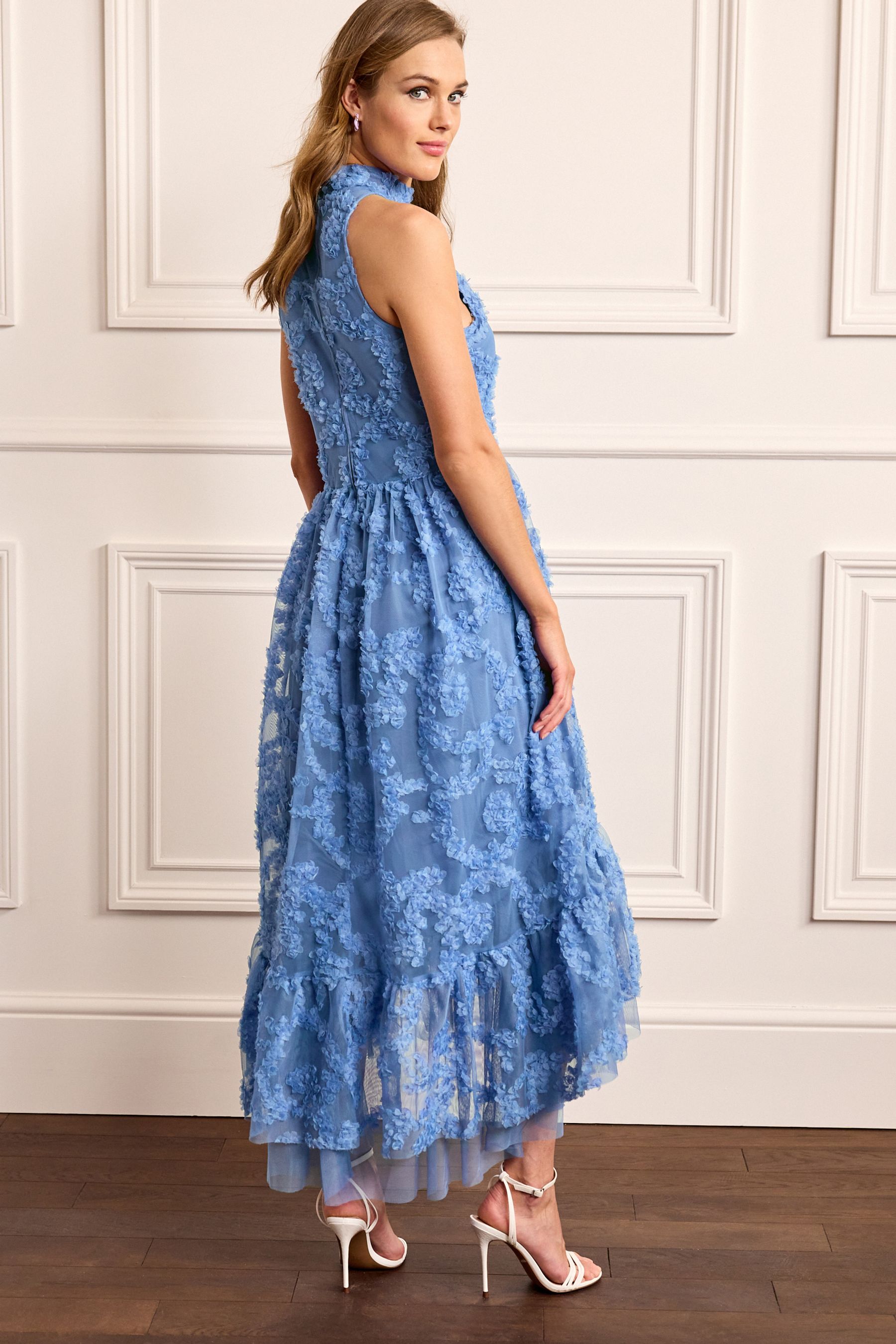 Buy Cornflower Blue 3D Floral Mesh Midi Dress from Next Luxembourg