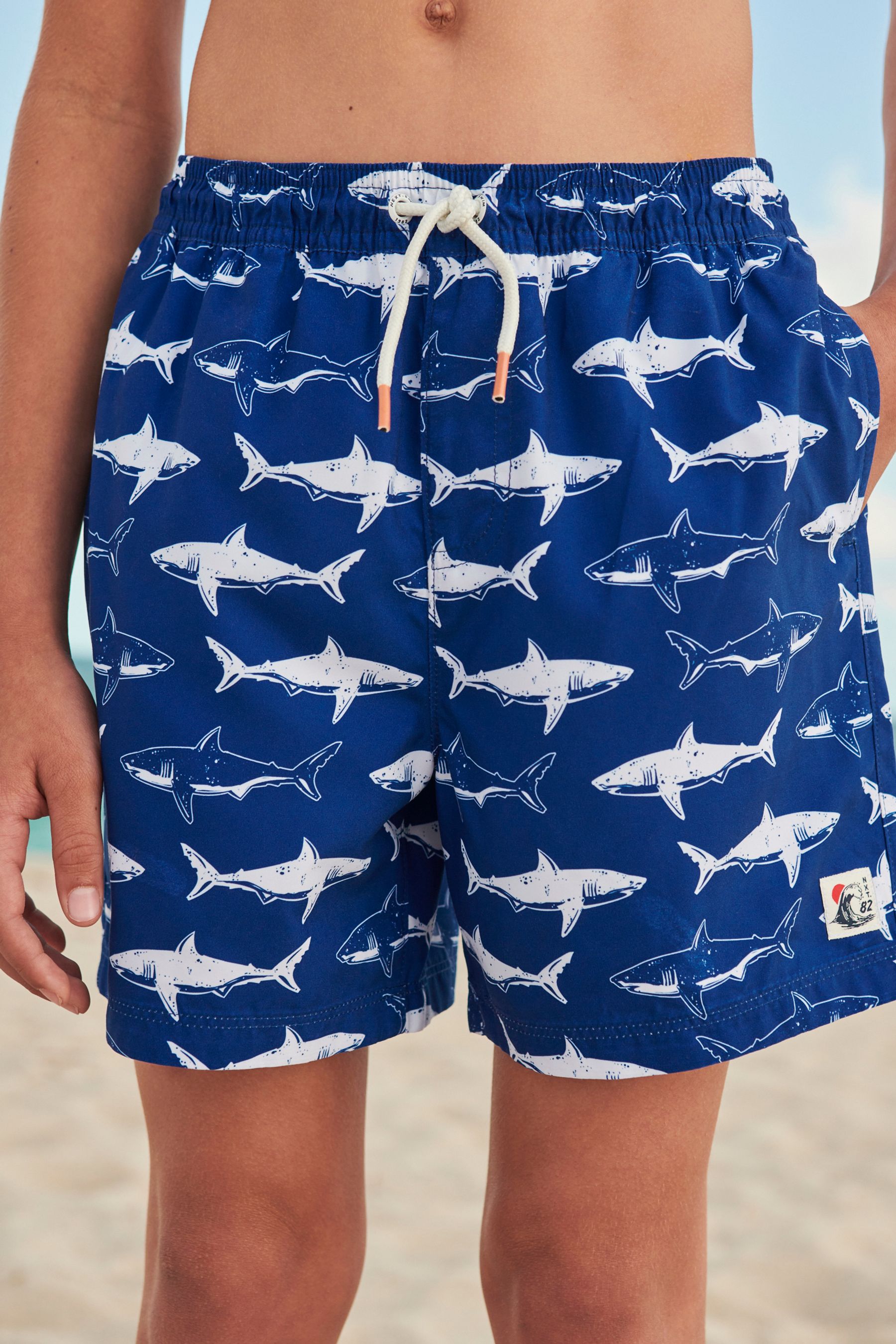 Next shark swim shorts online