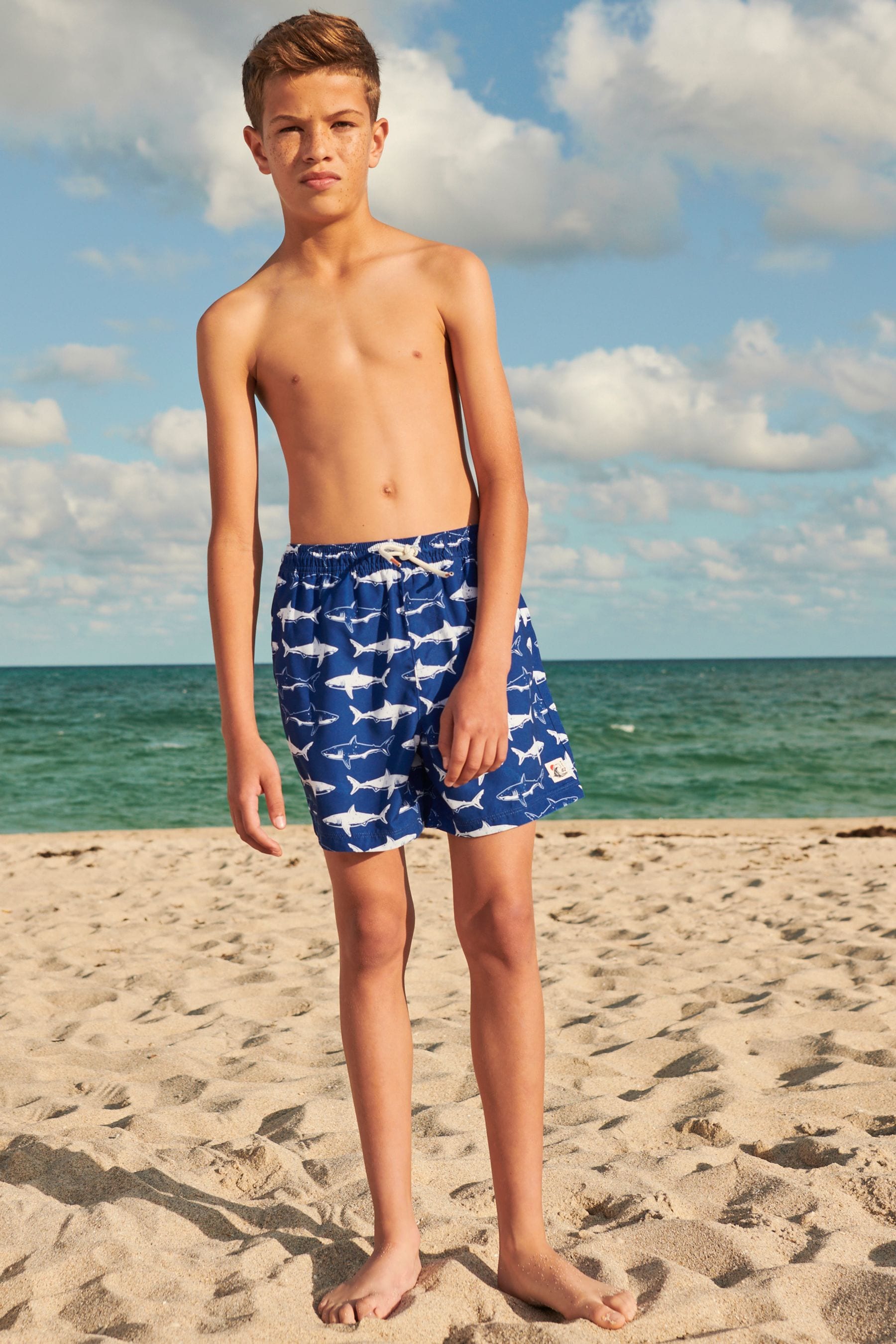 Buy Blue Shark Swim Shorts 3 16yrs from Next Luxembourg