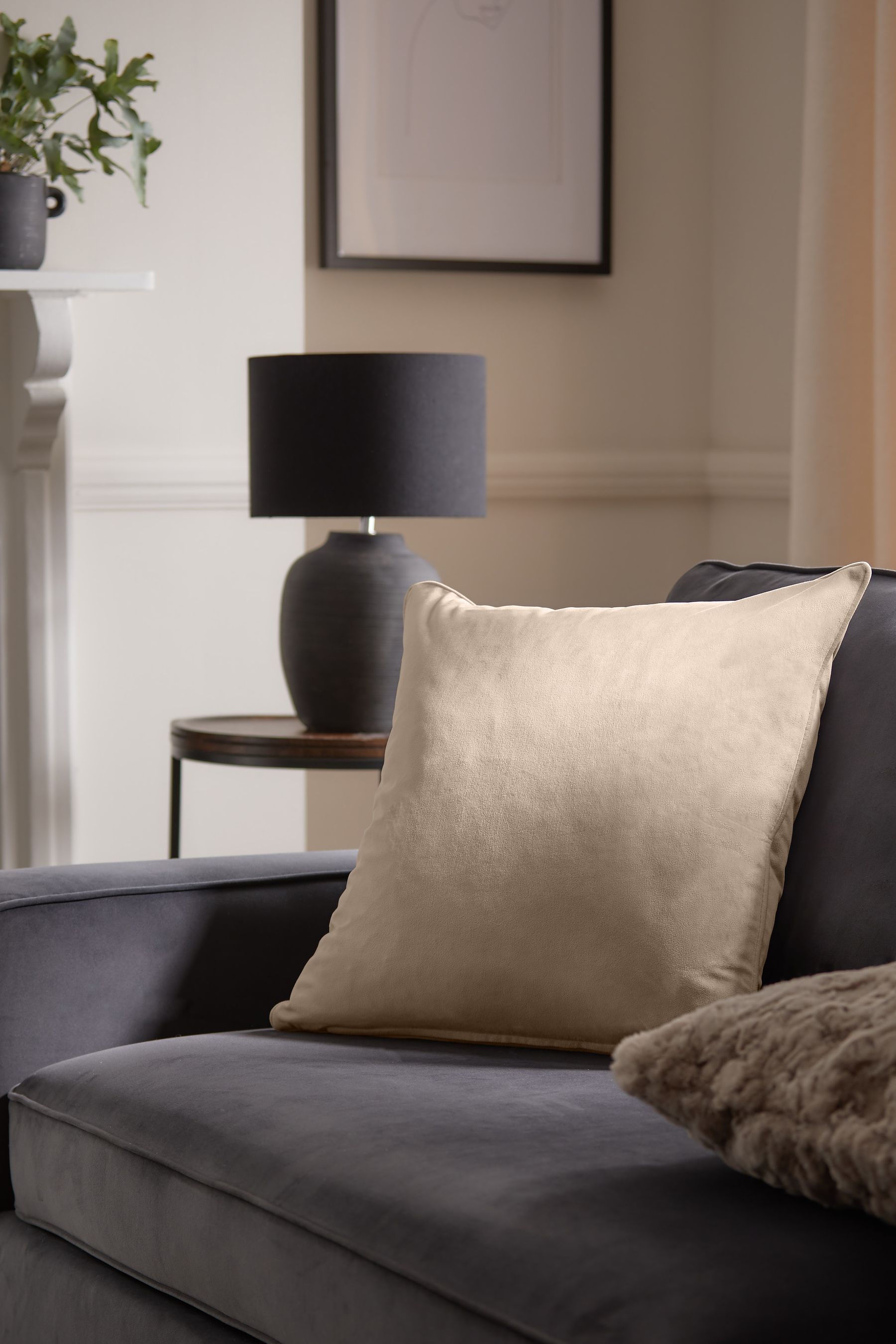 Buy Natural 59 x 59cm Matte Velvet Cushion from the Next UK online shop
