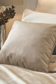 Soiree Natural Melanie Velvet Square Cushion - Image 1 of 2