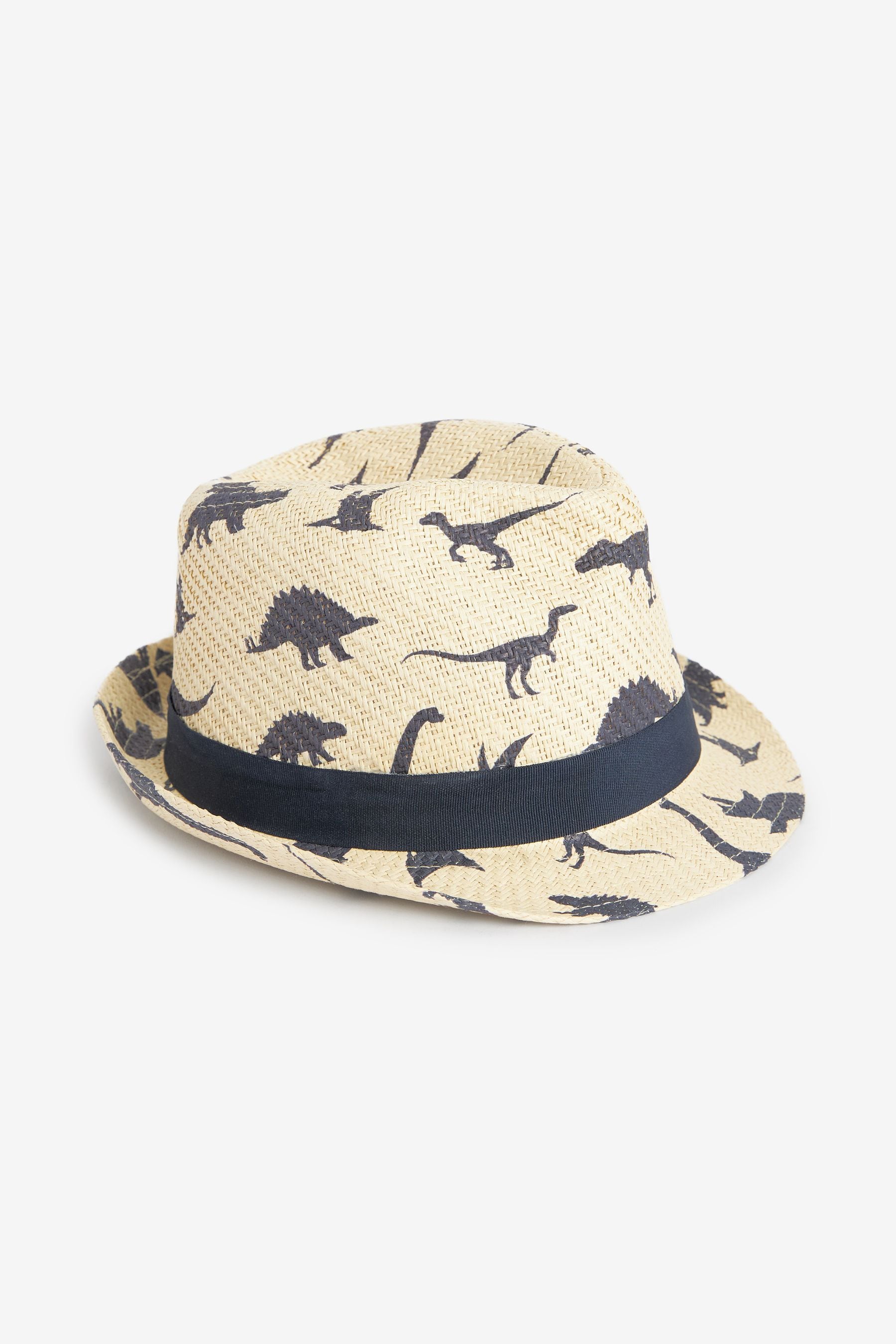 Buy Dinosaur Print Trilby Hat 1 16yrs from Next Luxembourg