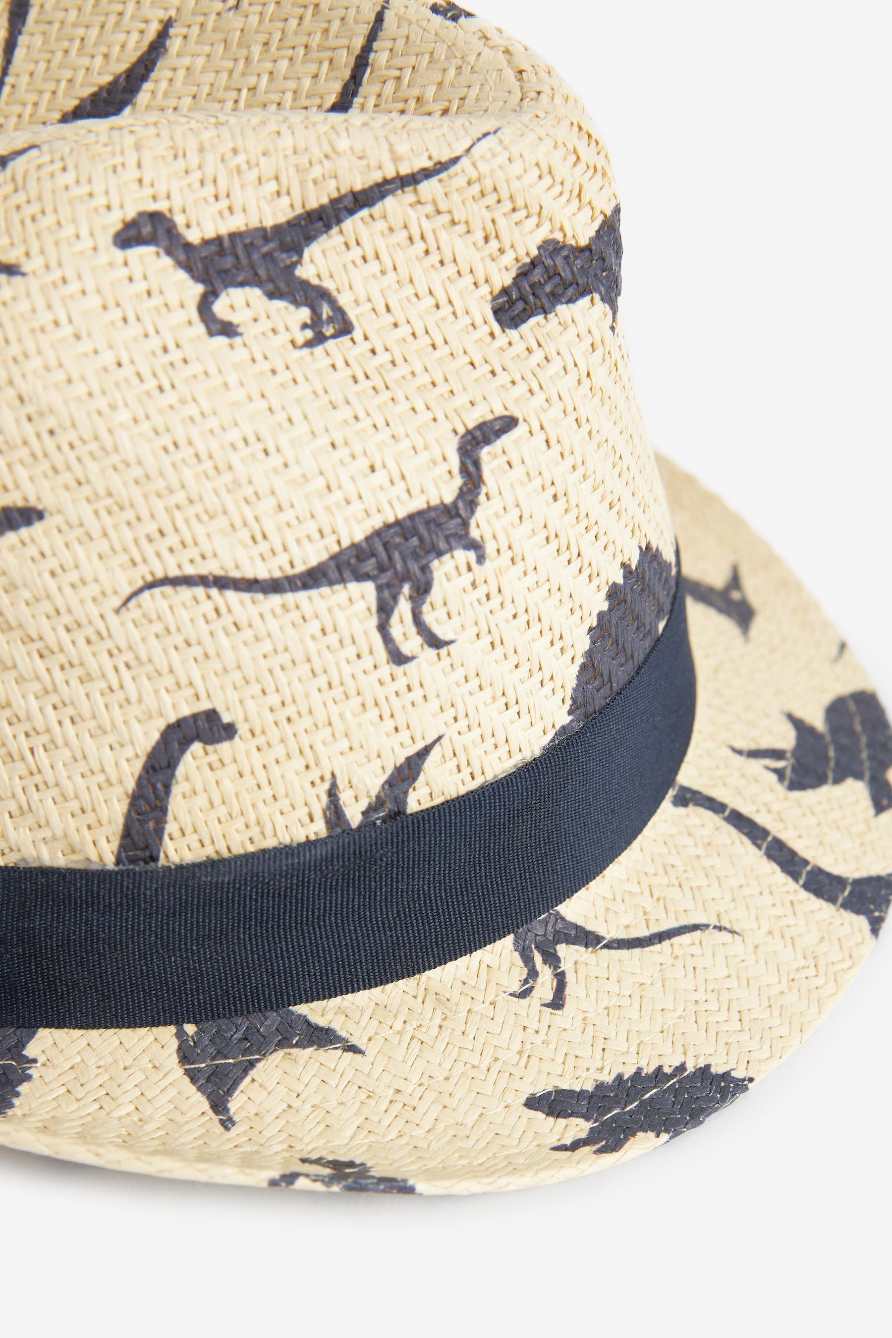 Buy Dinosaur Print Trilby Hat 1 16yrs from Next Luxembourg