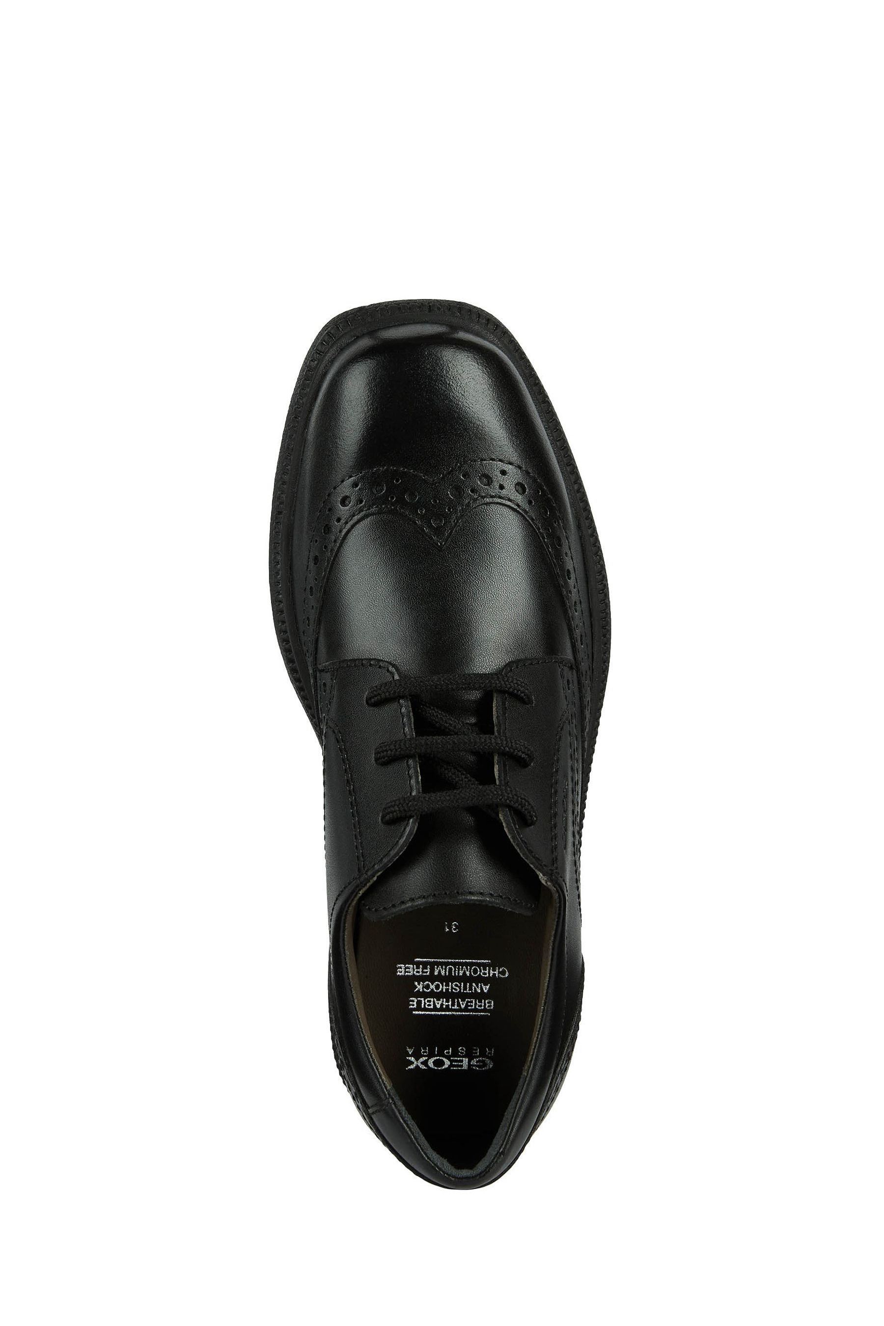 Buy Geox Junior Boys Federico Black Shoes from Next Luxembourg