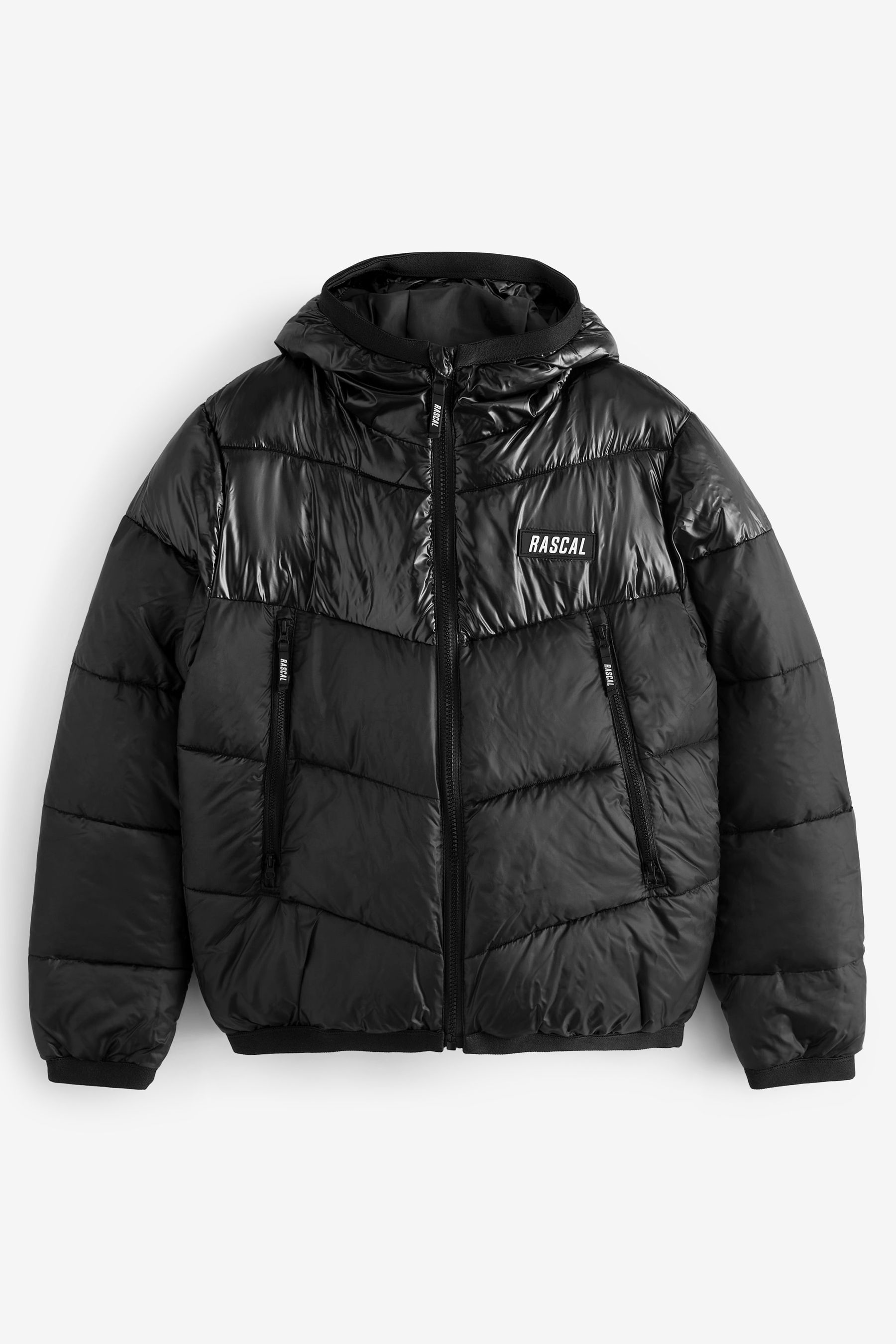 Buy Rascal Boys Space Black Padded Jacket from Next Luxembourg