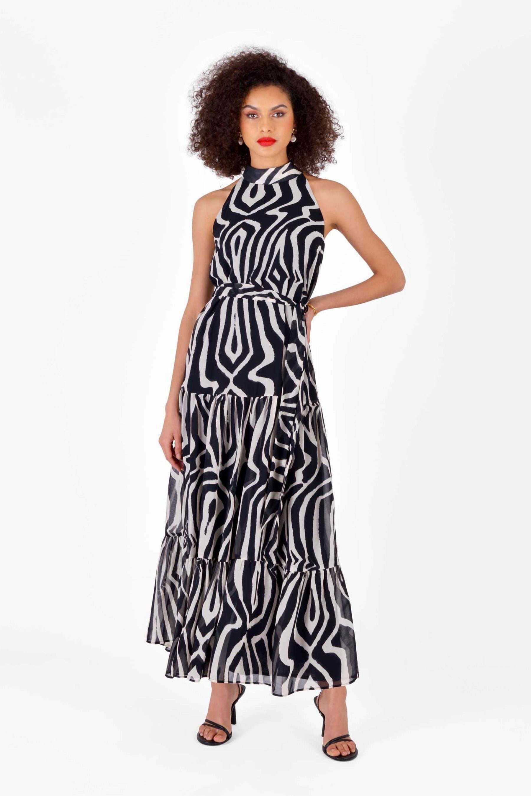 Next zebra dress shop