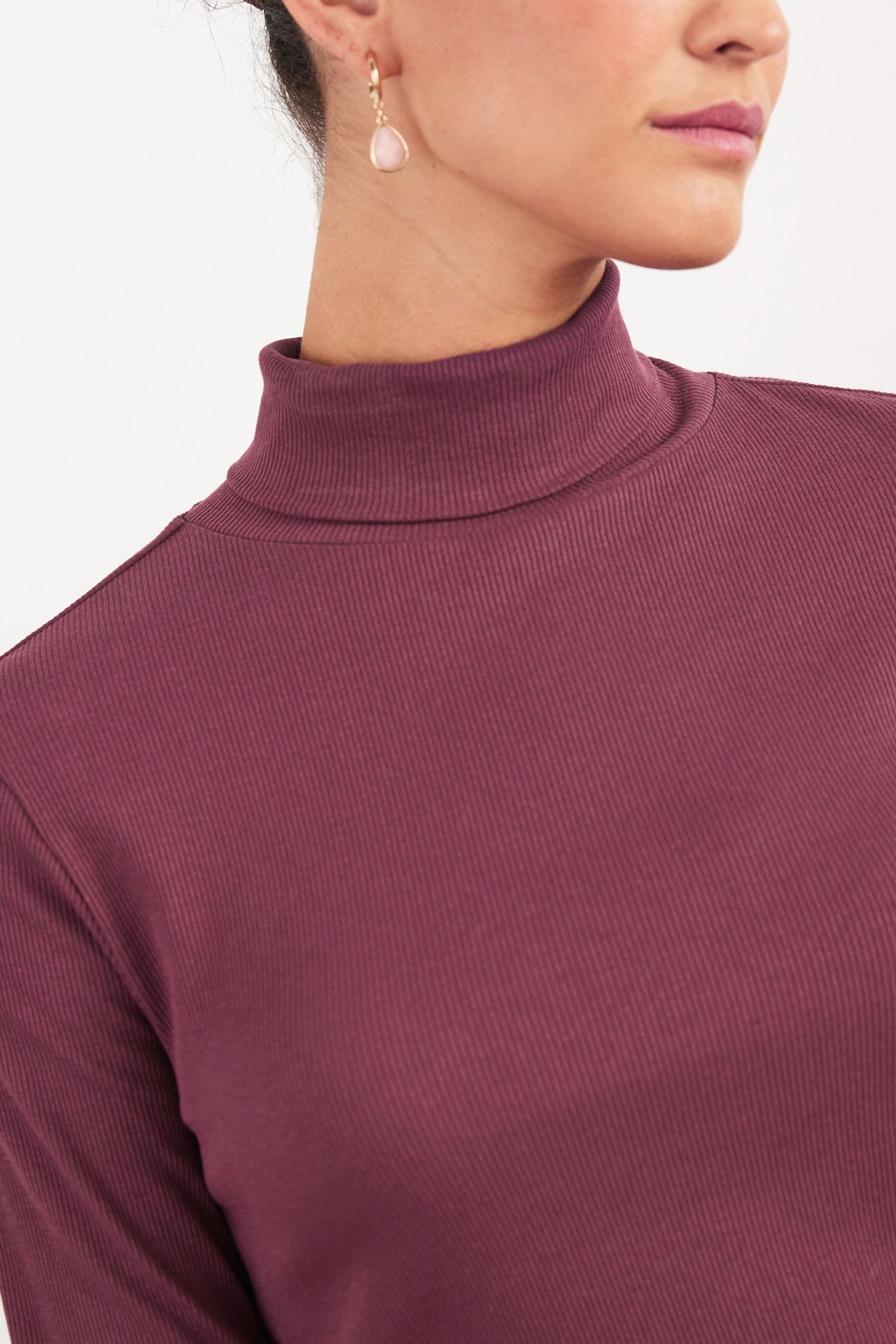 Buy Berry Red Long Sleeve Ribbed Roll Neck Top from Next Luxembourg