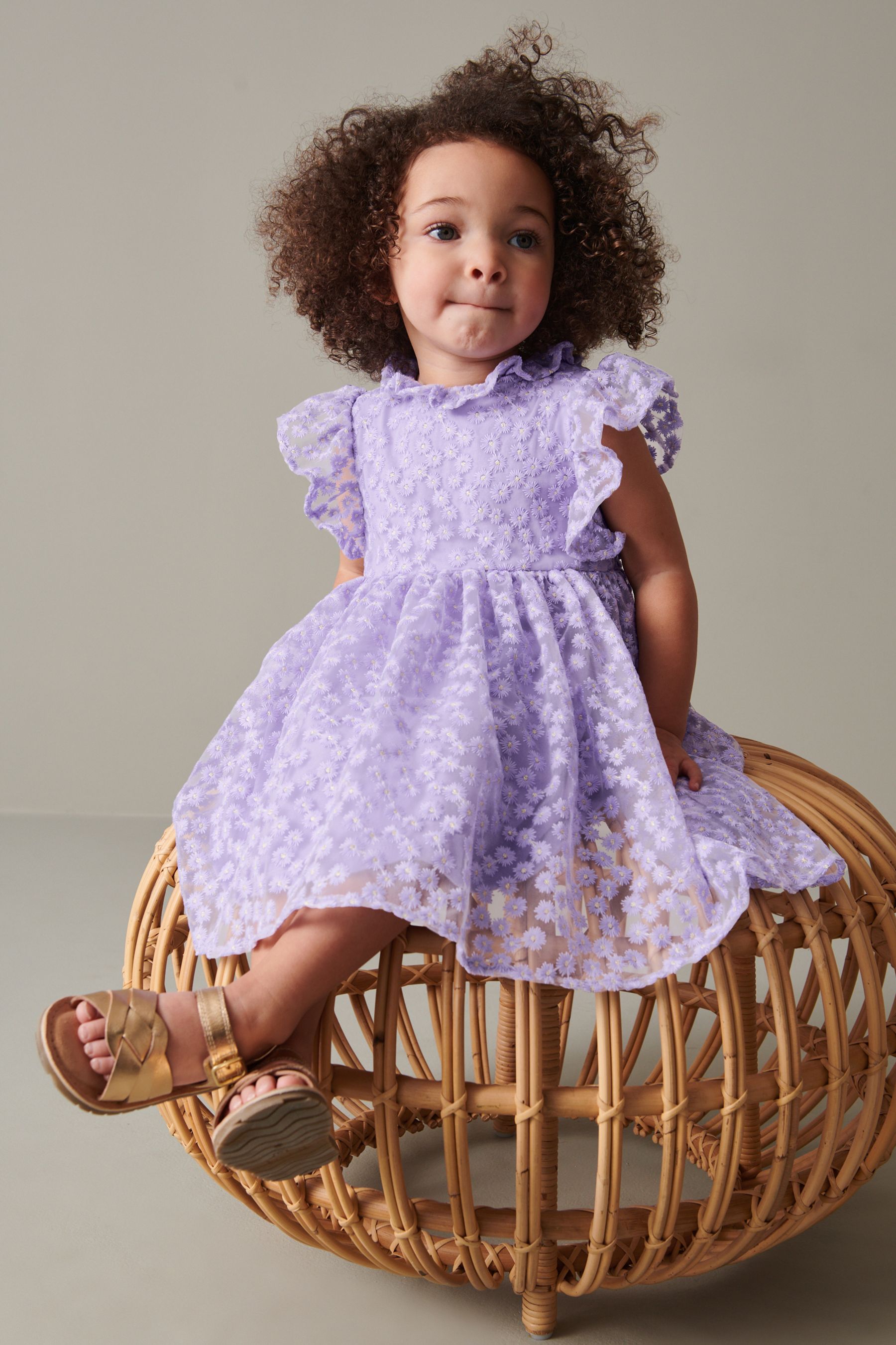 Buy Lilac Purple Short Sleeve Lace Dress 3mths 6yrs from Next Luxembourg