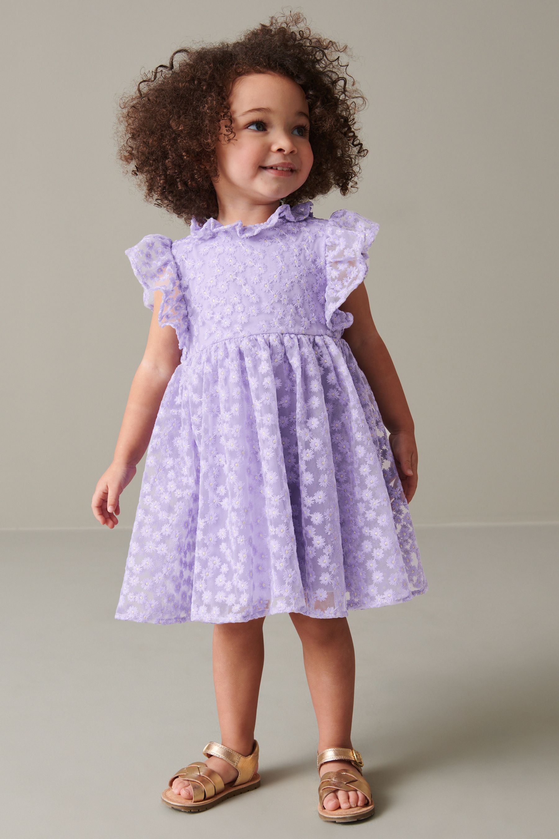 Buy Lilac Purple Short Sleeve Lace Dress 3mths 6yrs from Next Luxembourg