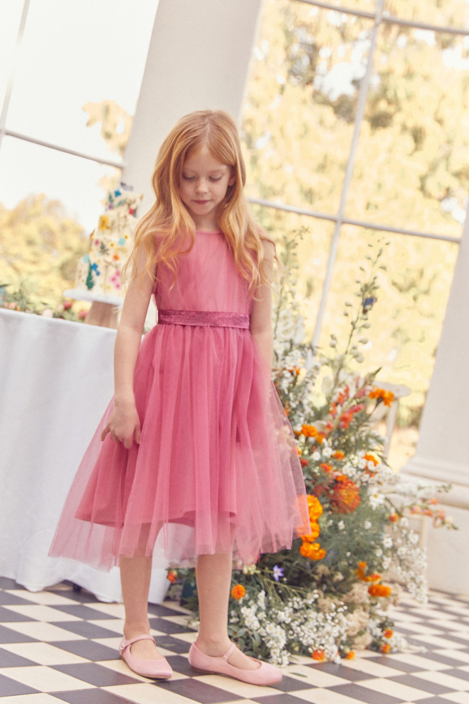 Buy Rose Pink Mesh Tie Back Party Dress 3 16yrs from Next Luxembourg
