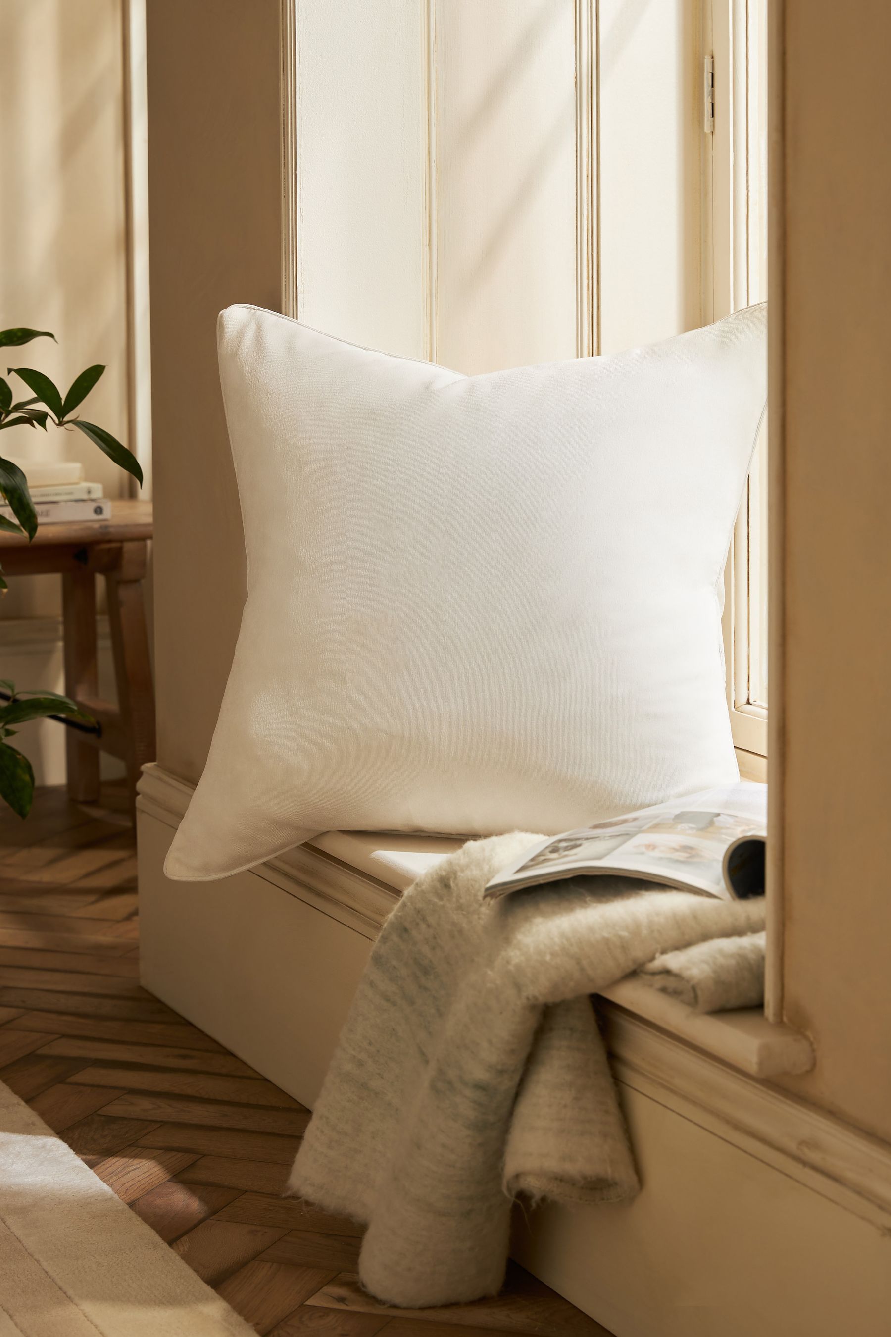 Buy White 59 x 59cm Soft Velour Cushion from Next Luxembourg