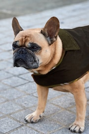 Black Waxed Effect Dog Coat With Khaki Green Corduroy Collar - Image 4 of 8