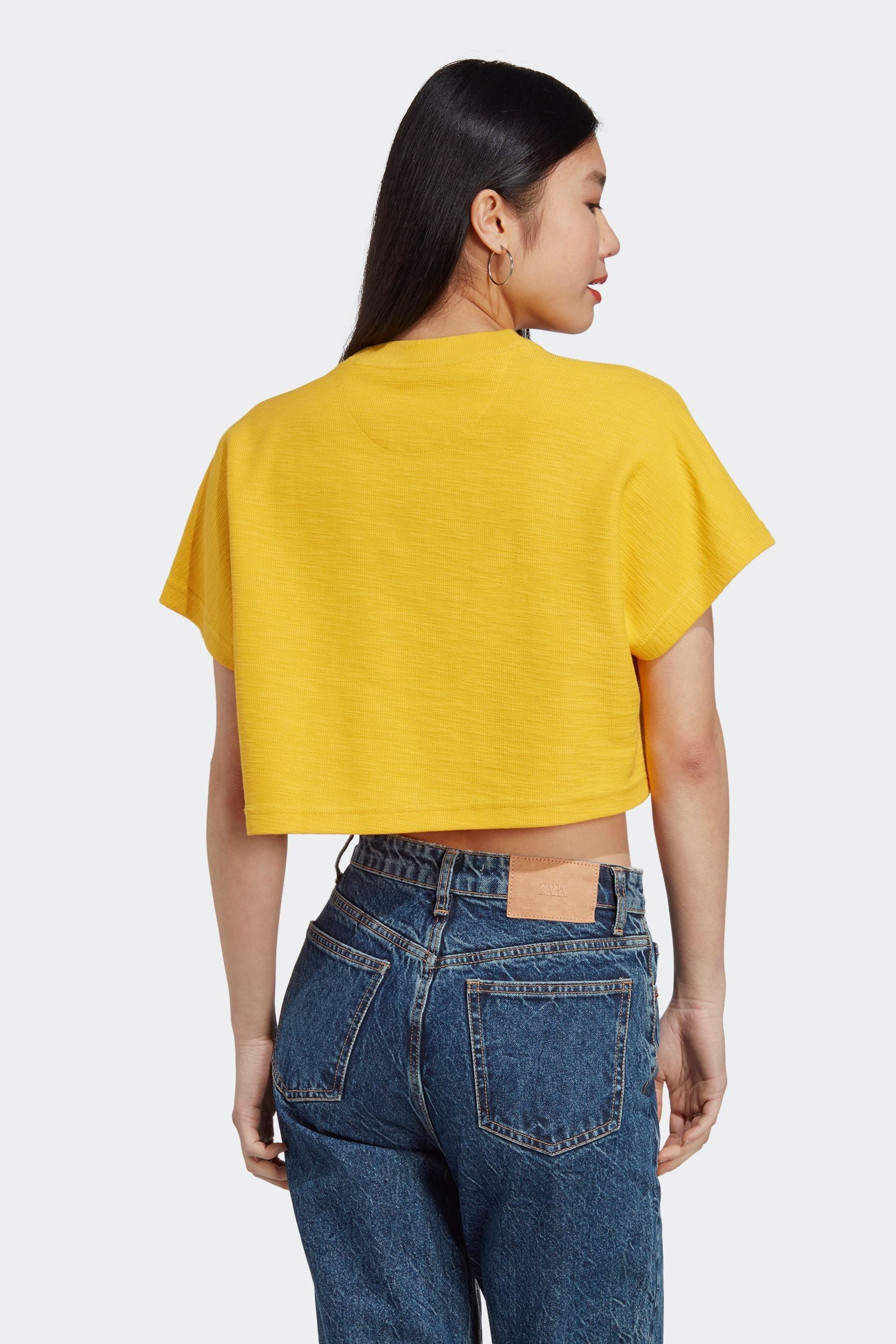 Buy adidas Yellow Lounge Terry Loop Crop Top from Next Luxembourg