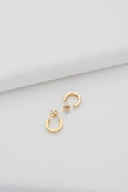 Ted Baker Gold Tone SEENITA: Crystal Small Hoop Earrings - Image 4 of 9