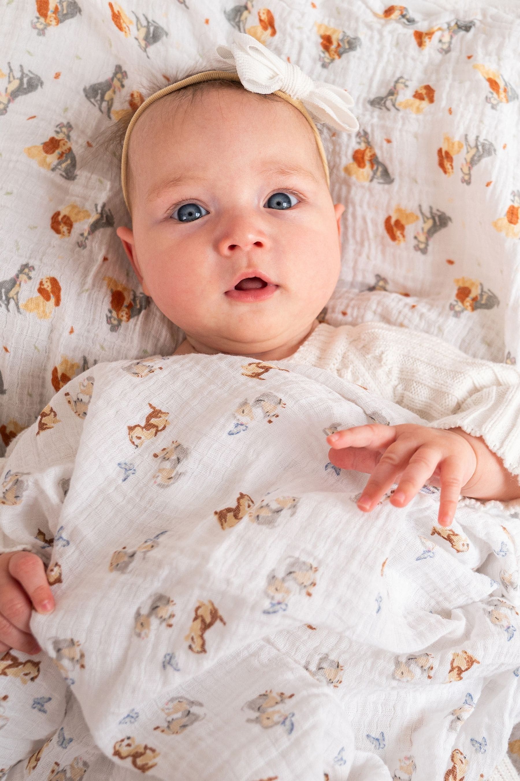 Buy aden anais Animal Essentials 100 Cotton Muslin Blanket 4 Pack from Next Luxembourg