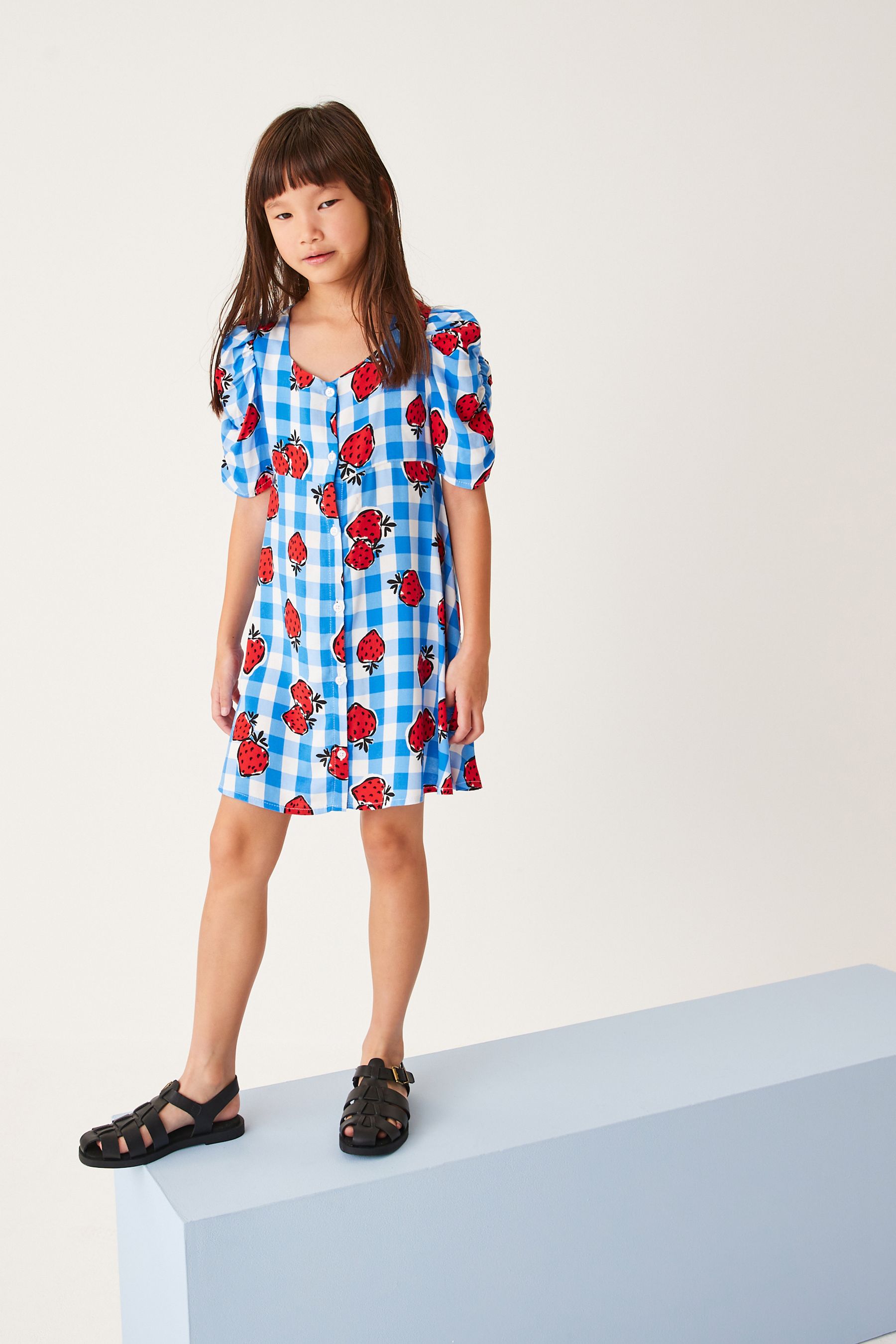 Buy Blue Gingham Strawberry Ruched Sleeve Dress 3 16yrs from Next Luxembourg