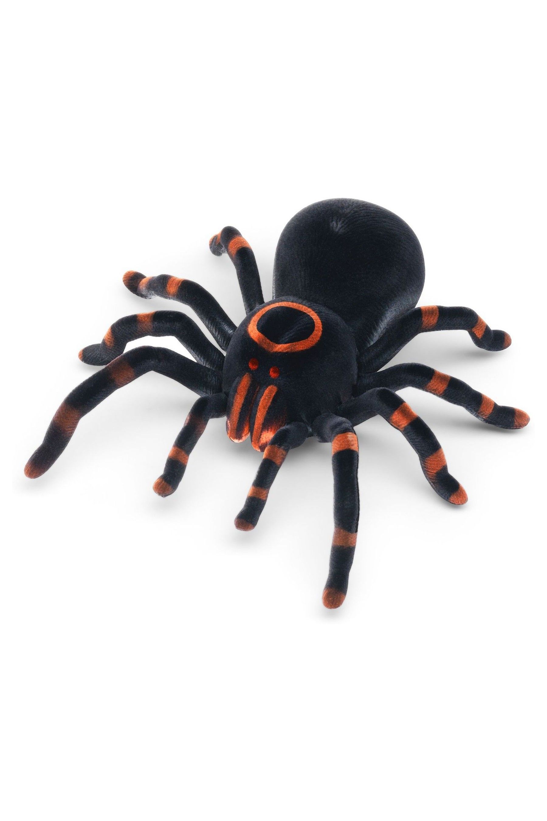 Rc tarantula outlet