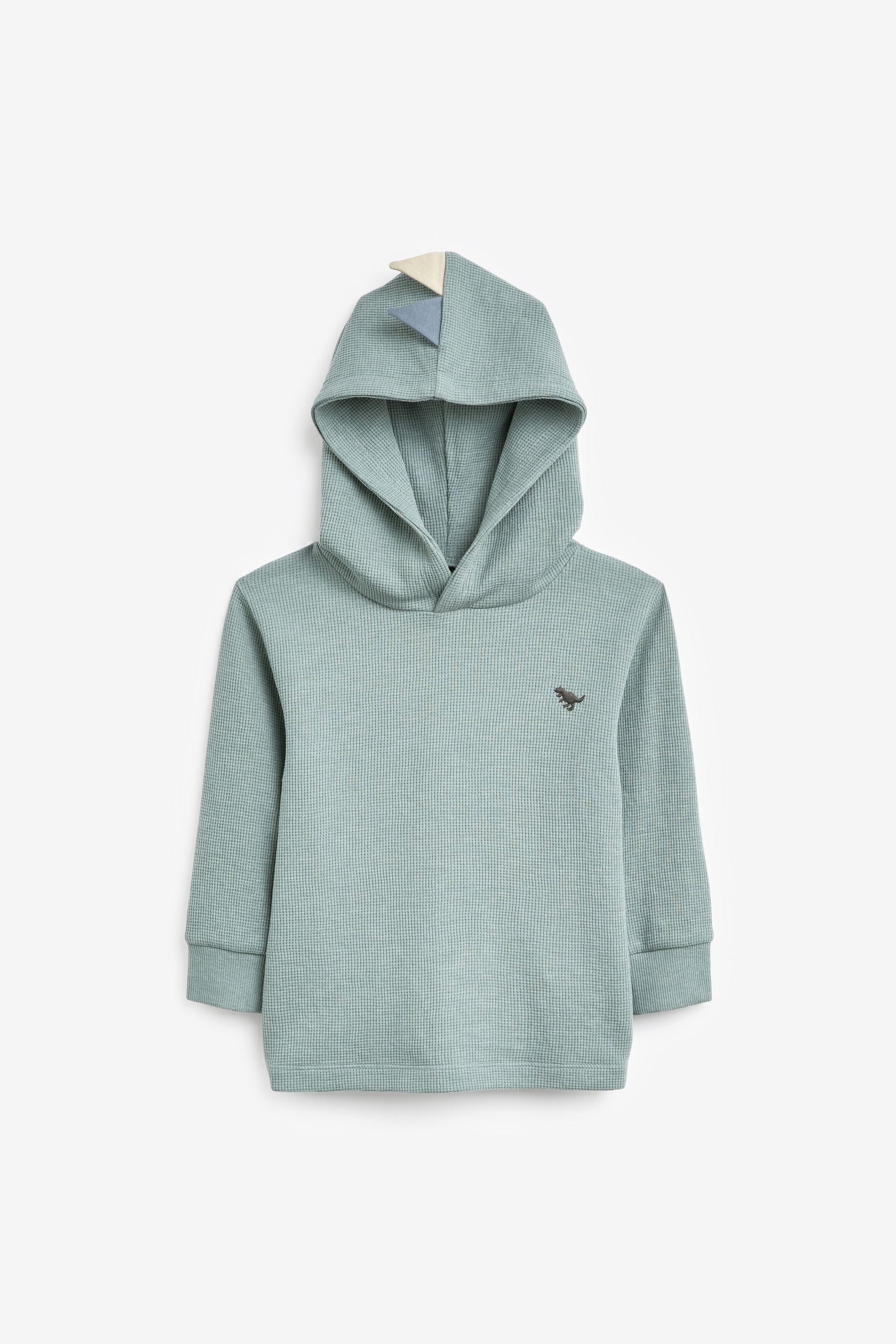 Next dinosaur hoodie sale
