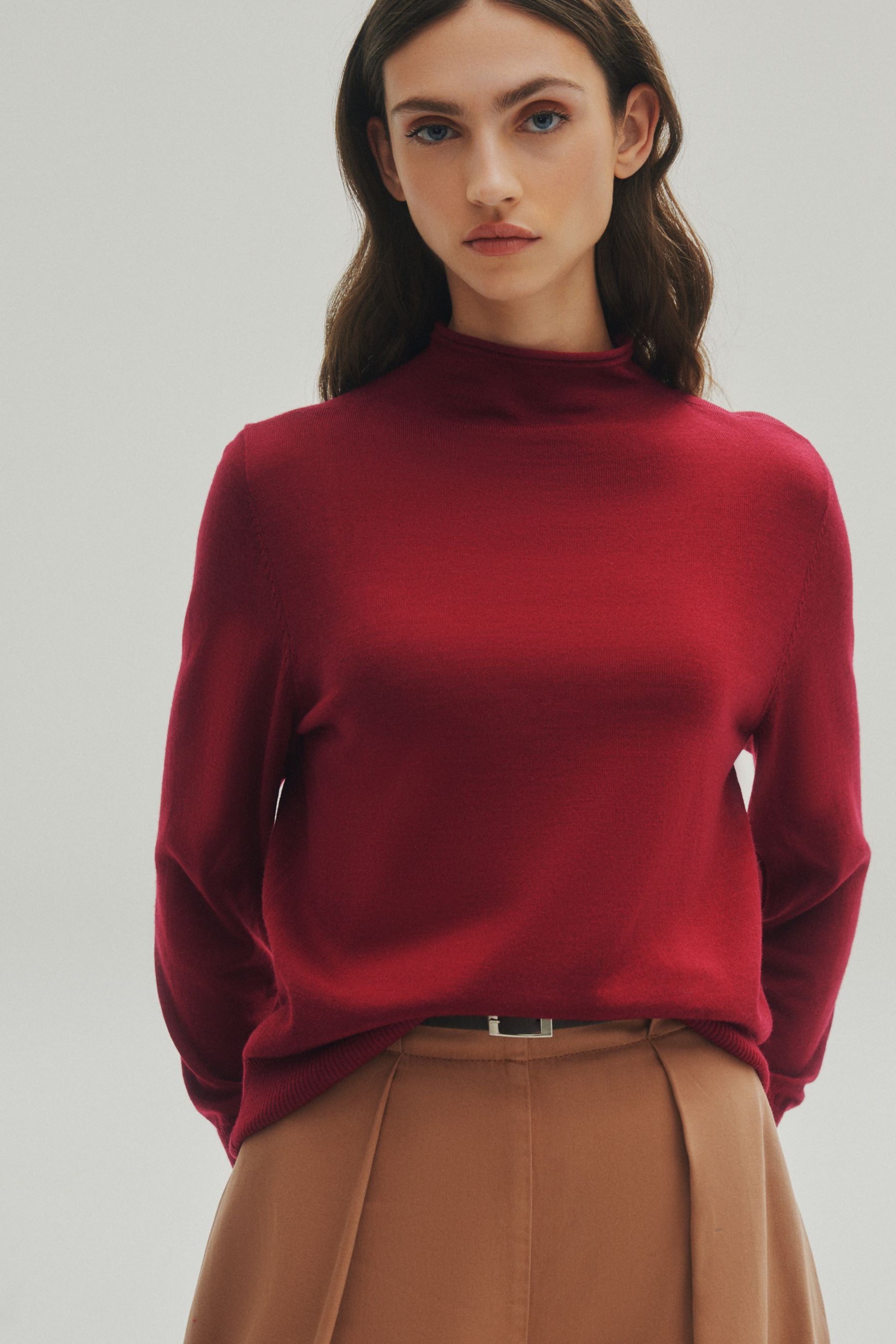 Buy Red Premium 100 Merino Wool Roll Neck Jumper from Next Luxembourg
