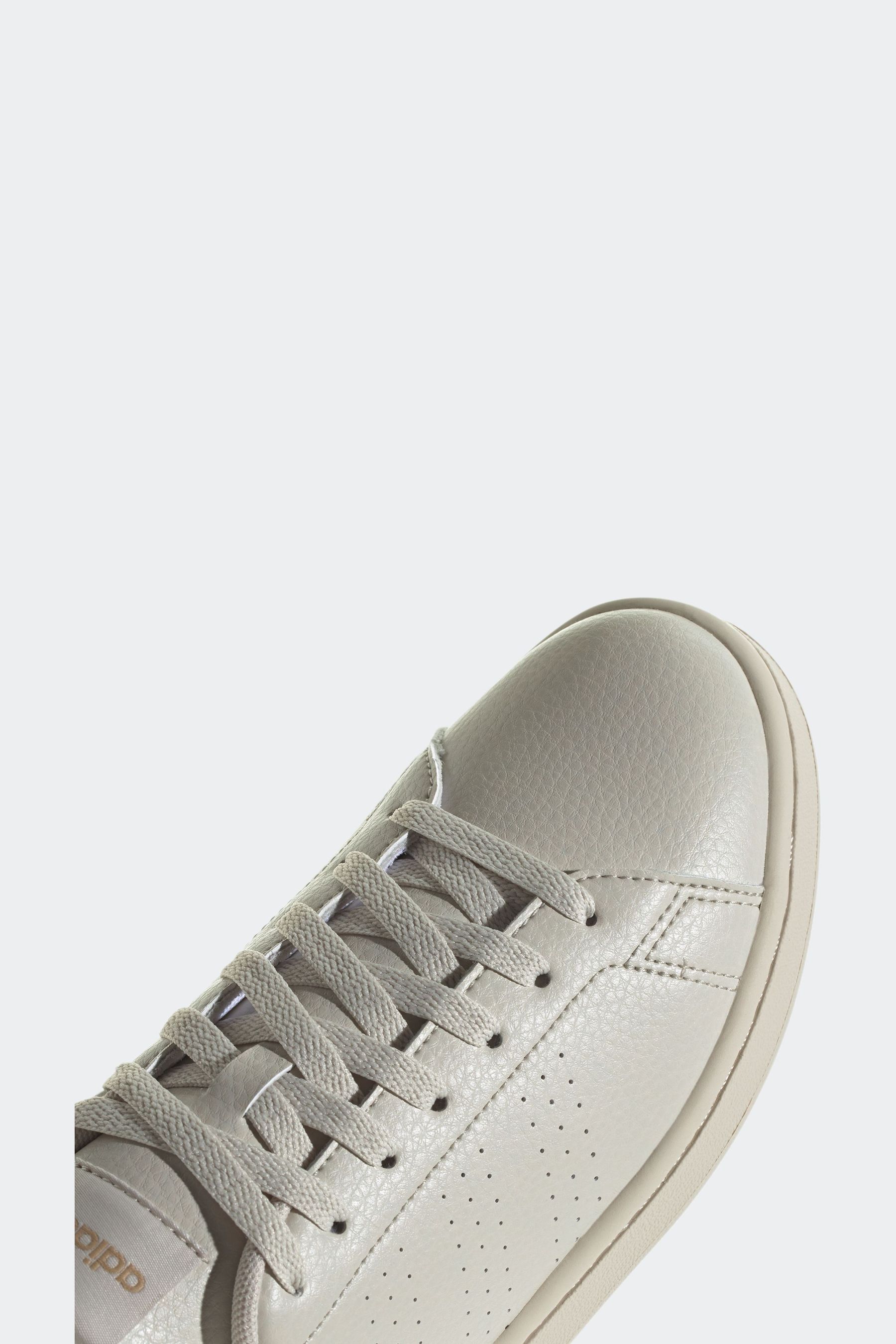 Adidas advantage brown online