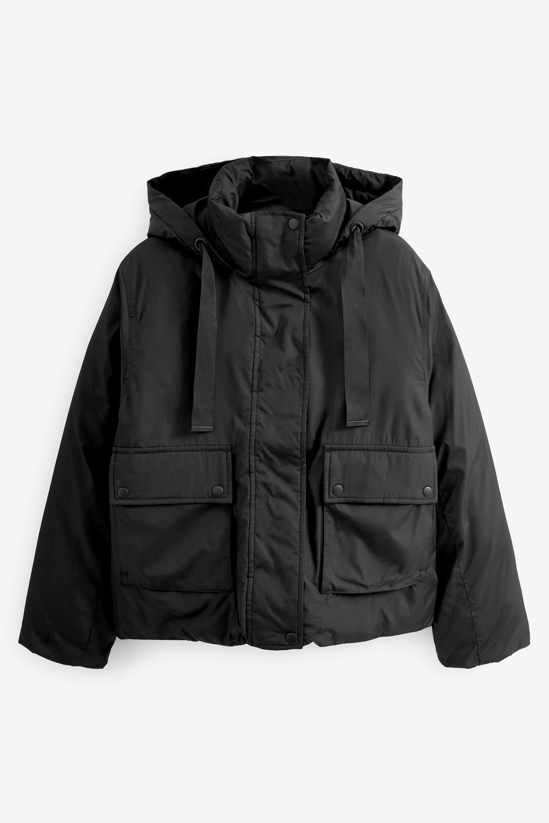 Buy Black Short Padded Jacket from Next Netherlands