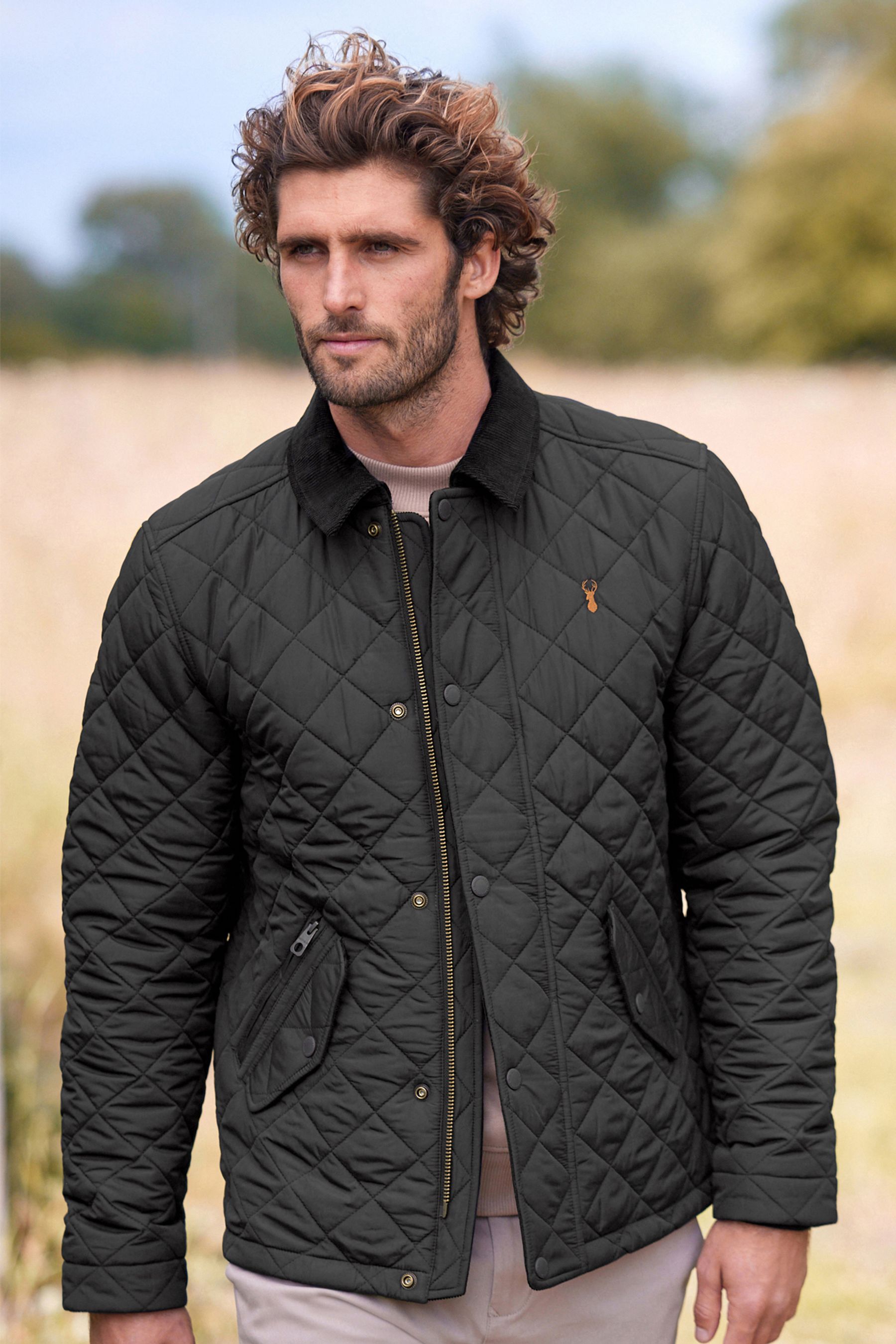 Buy Black Diamond Quilt Corduroy Collared Jacket from Next Luxembourg