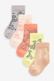 Bright Animals Baby Socks 5 Pack (0mths-2yrs) - Image 1 of 6