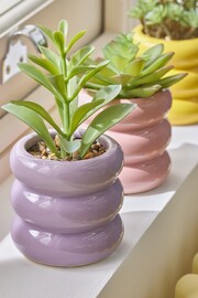 Set of 3 Green Artificial Succulents In Bright Pots - Image 2 of 3