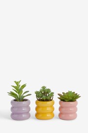Set of 3 Green Artificial Succulents In Bright Pots - Image 3 of 3