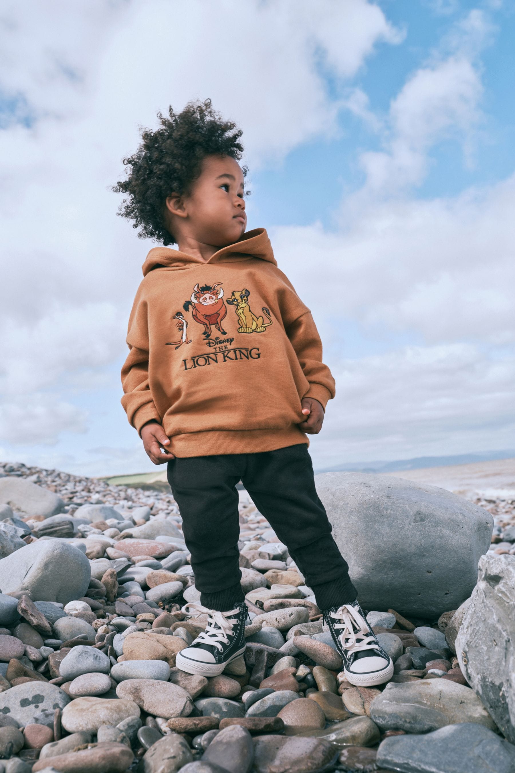 Buy Rust Brown Disney Lion King Hoodie 6mths 8yrs from Next Luxembourg