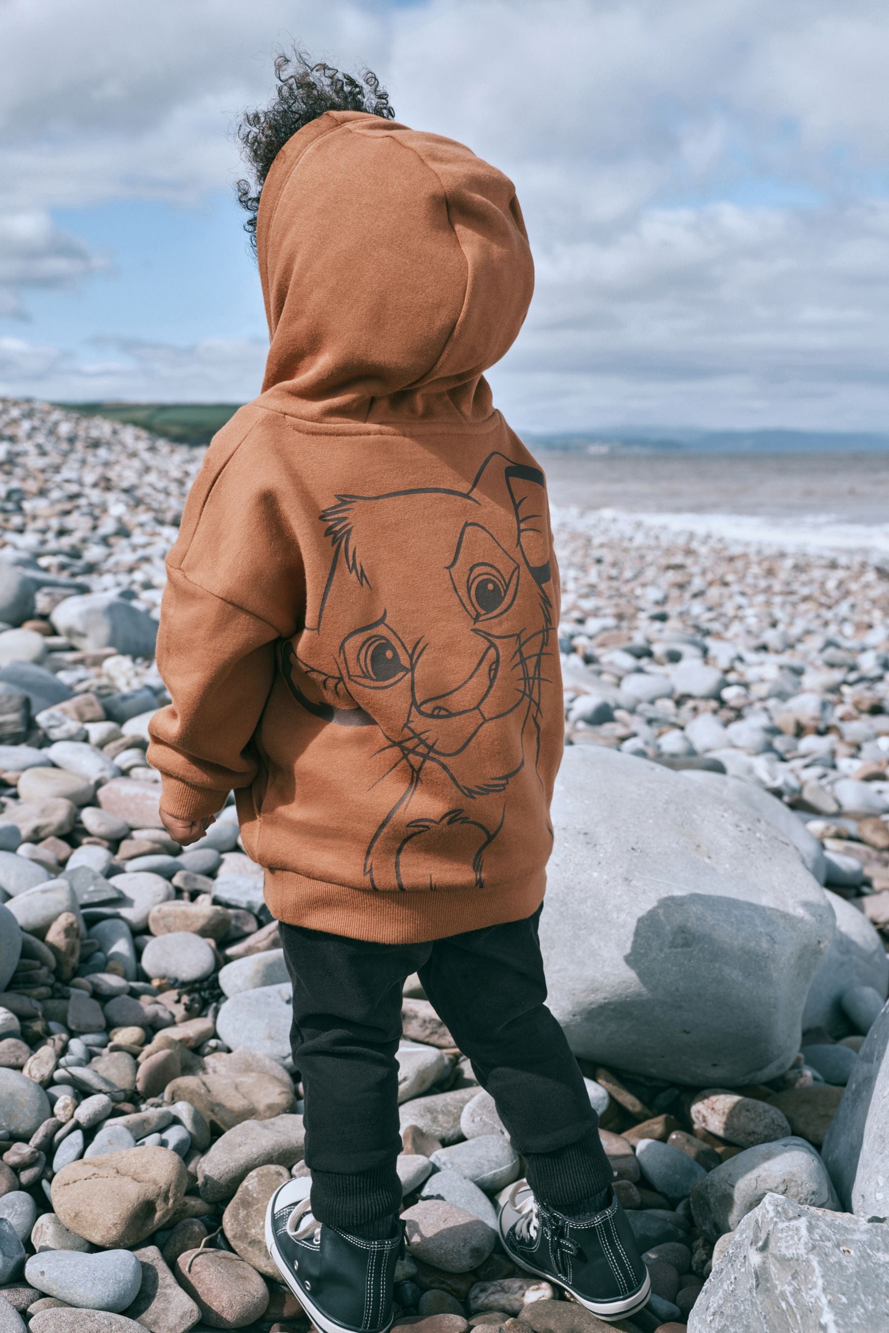 Buy Rust Brown Disney Lion King Hoodie 6mths 8yrs from Next Luxembourg