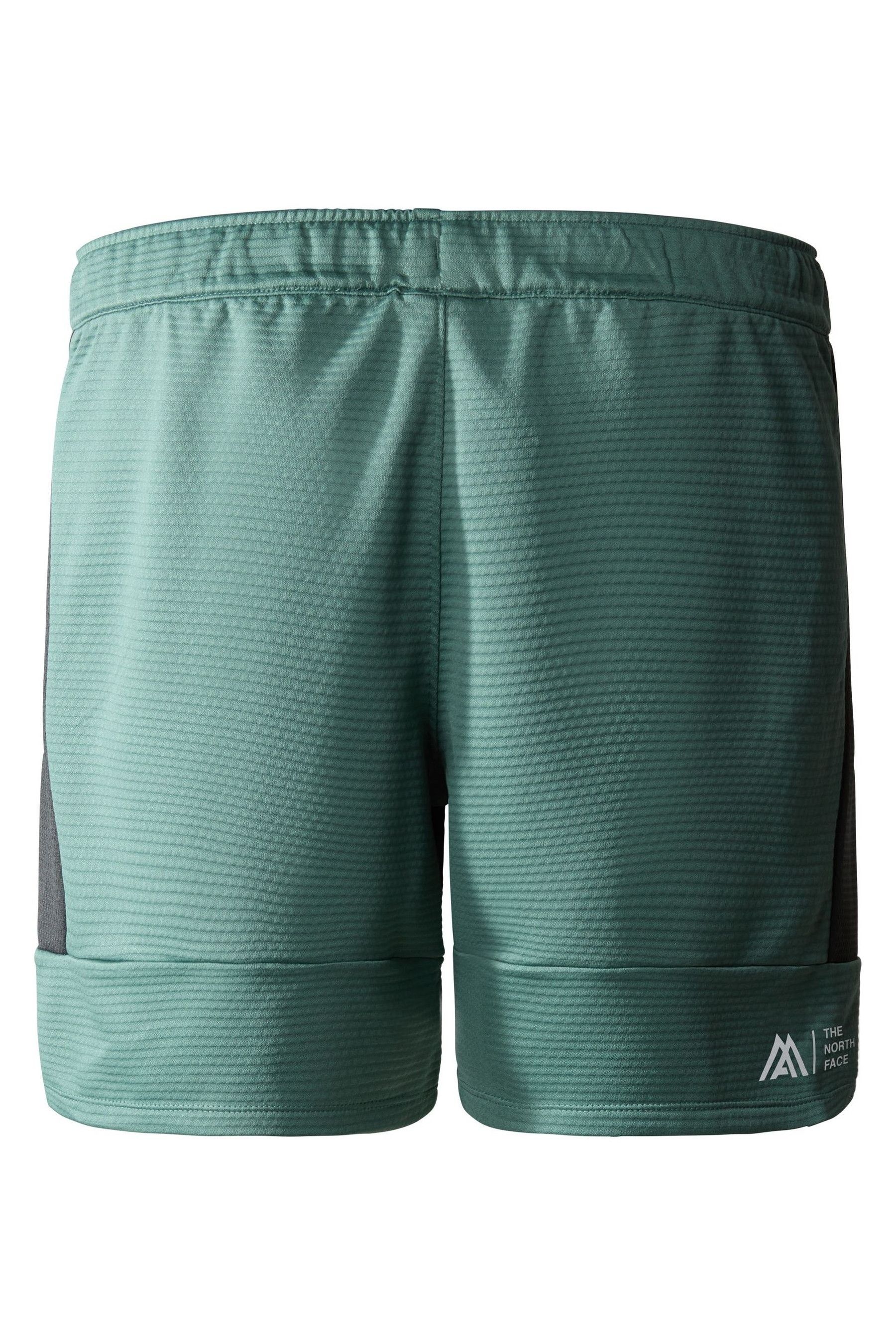 North face fleece shorts hot sale