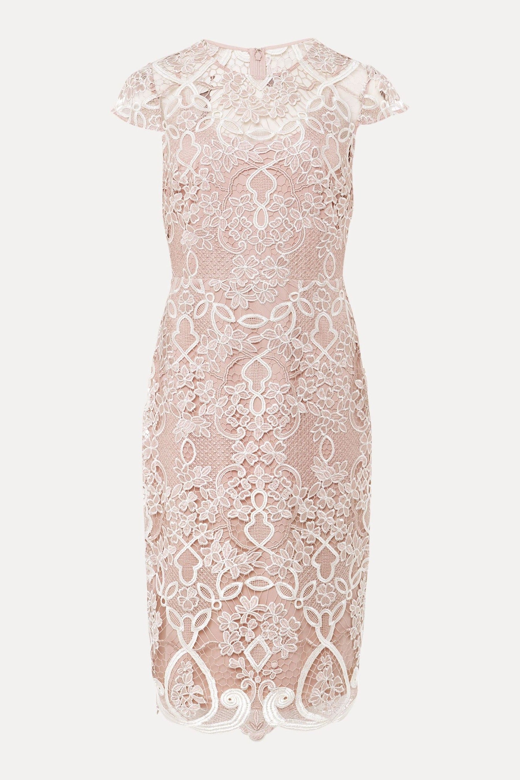 Frances lace dress hot sale