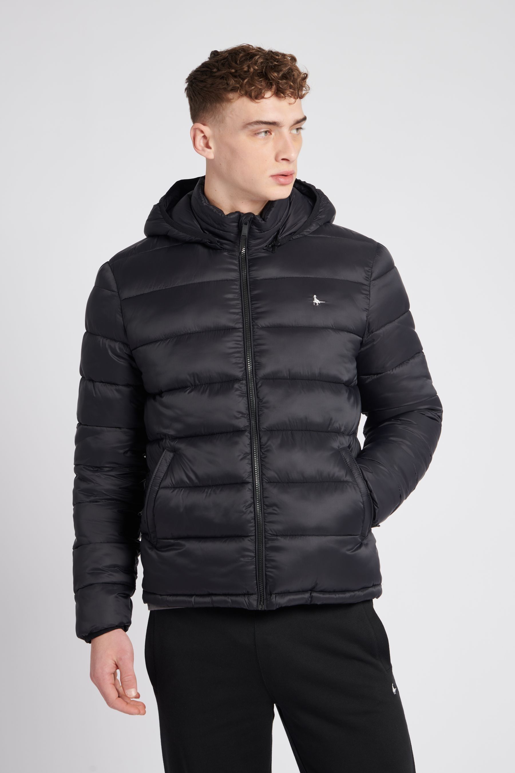 Buy Jack Wills Black Jack Wills Kershaw Hooded Puffer Jacket from Next Germany