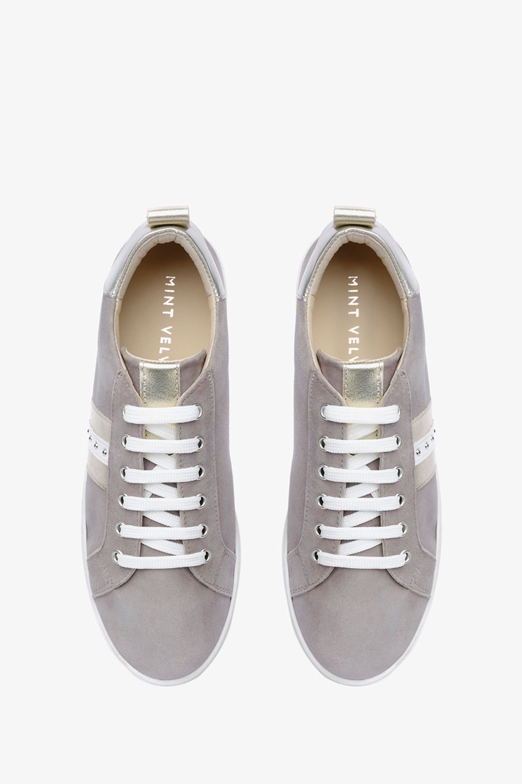Buy Mint Velvet Grey Allie Striped Trainers from Next Ireland