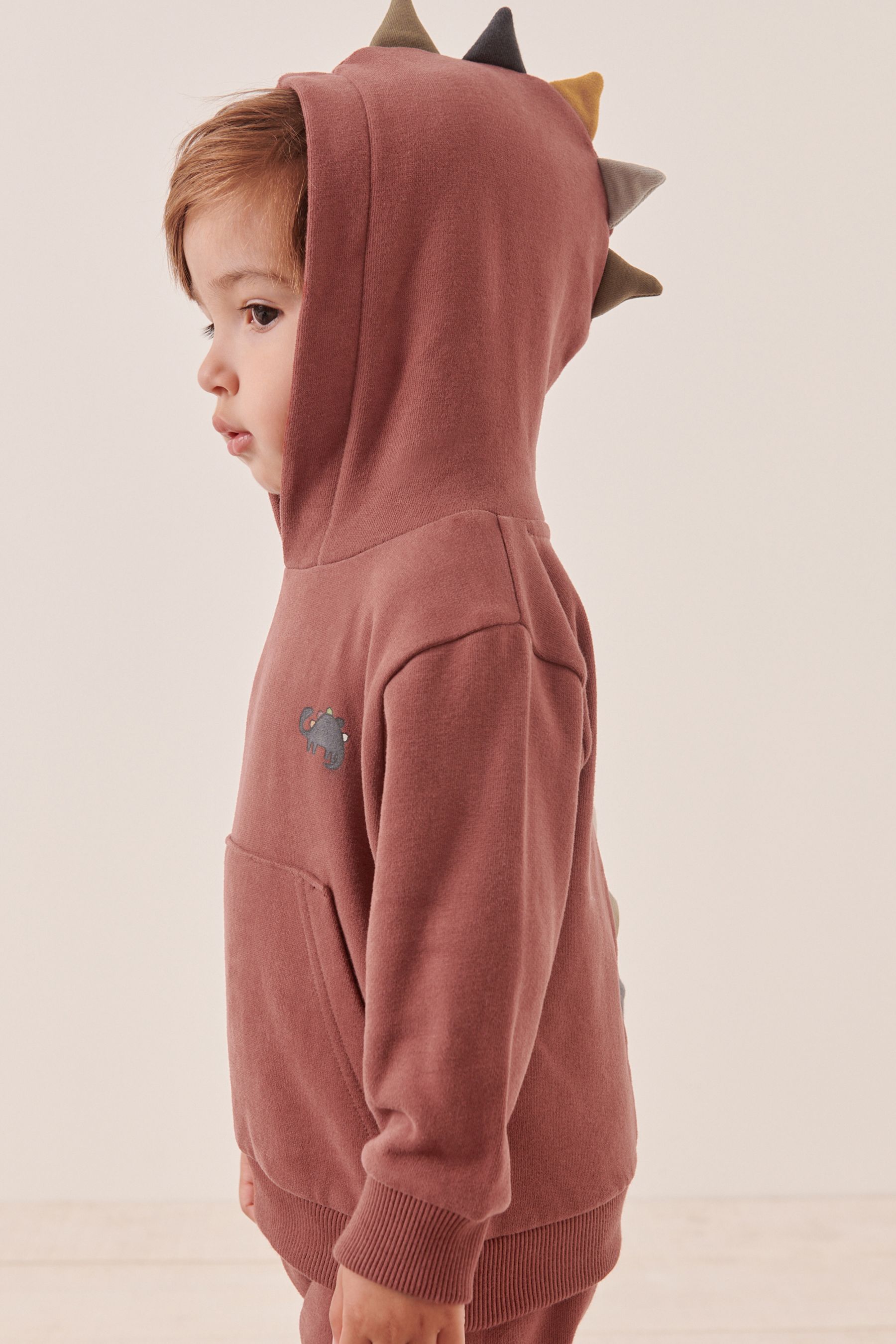 Dinosaur jogger set hotsell
