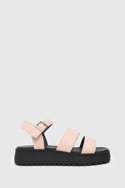 Schuh Pink Tara Chunky - Image 1 of 4